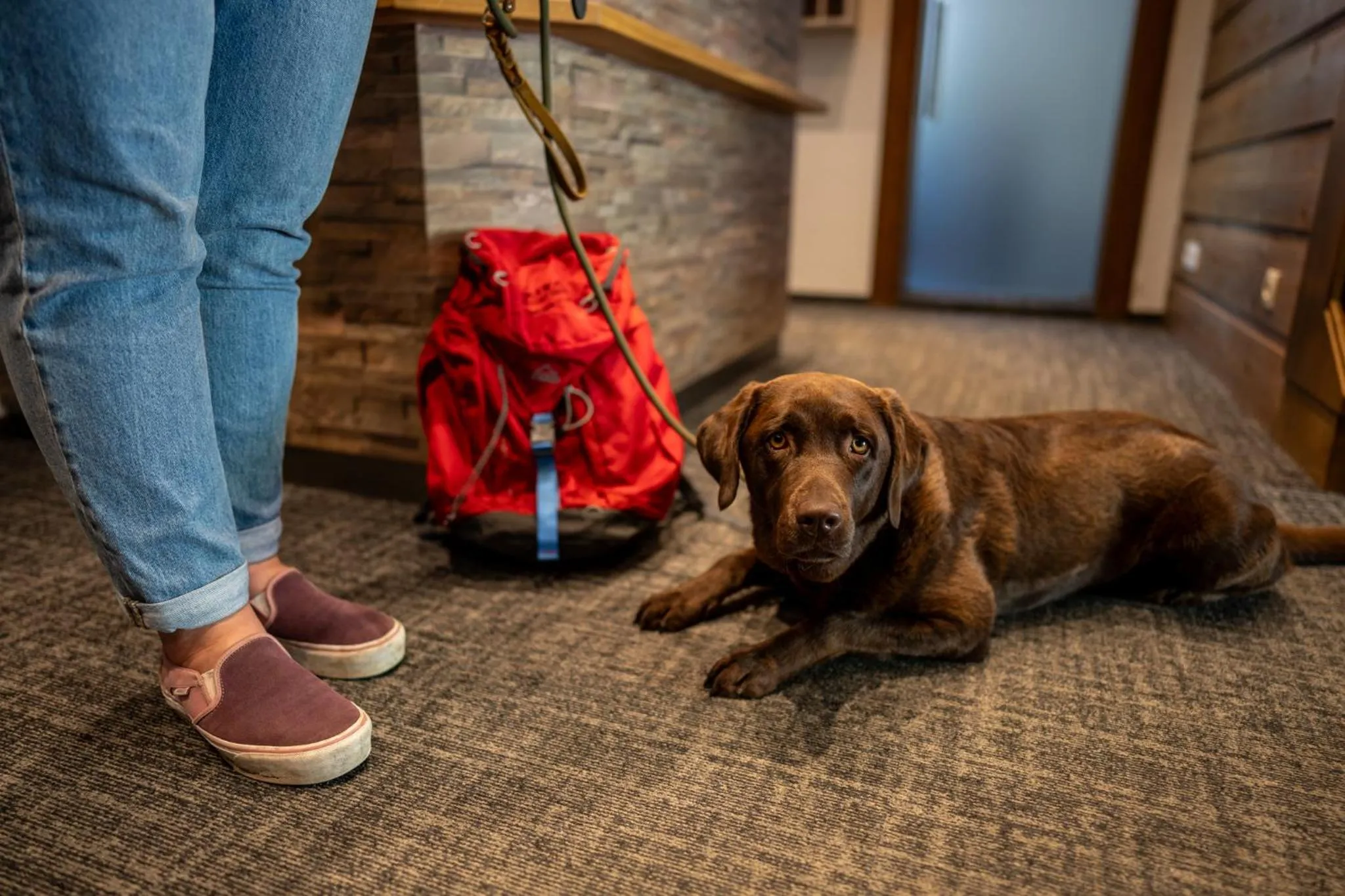 Lobby or reception in Schi- und Wanderhotel Berghof