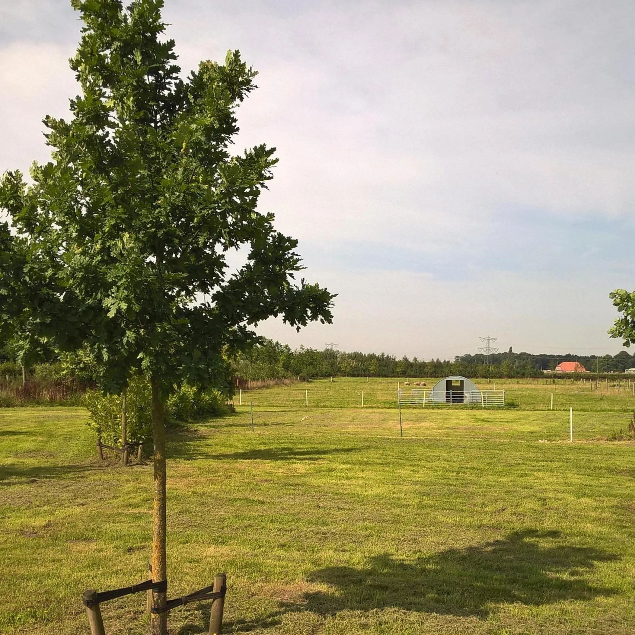 Garden in Antonius Hoeve