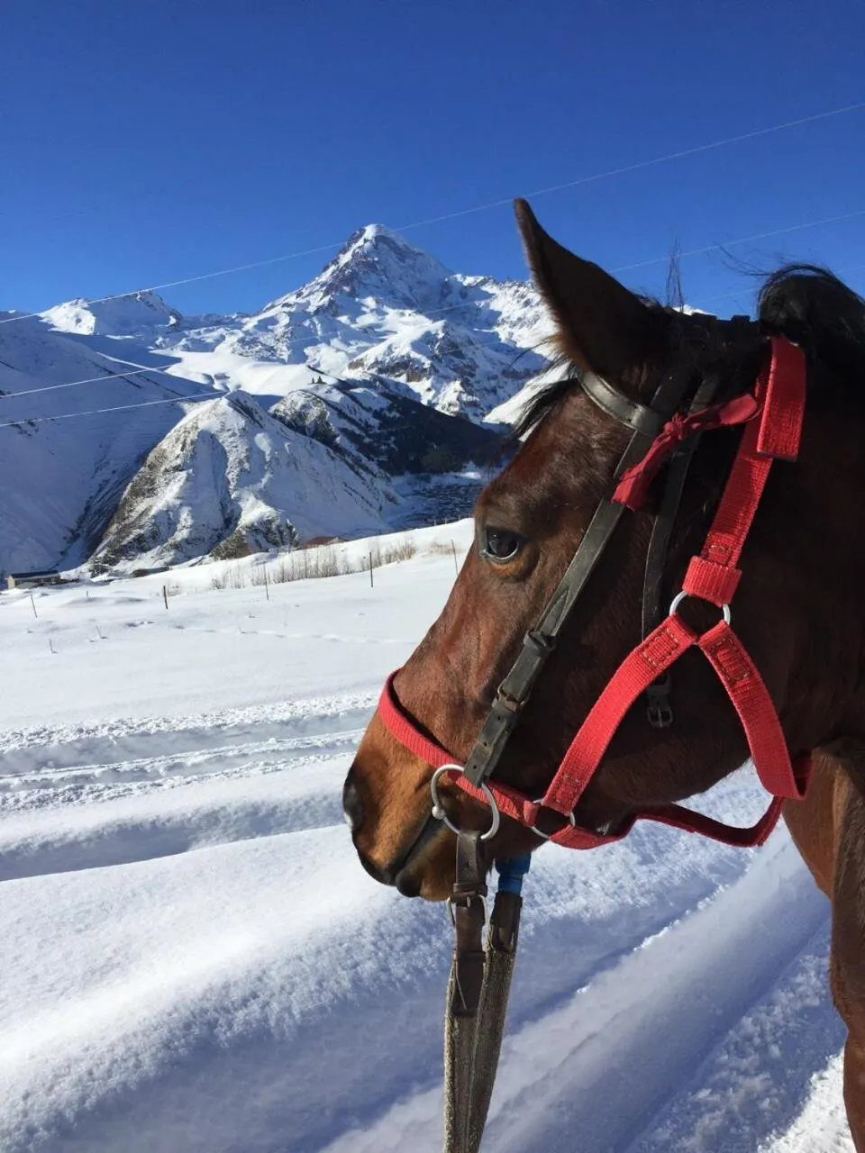 Winter in Hotel Elegant