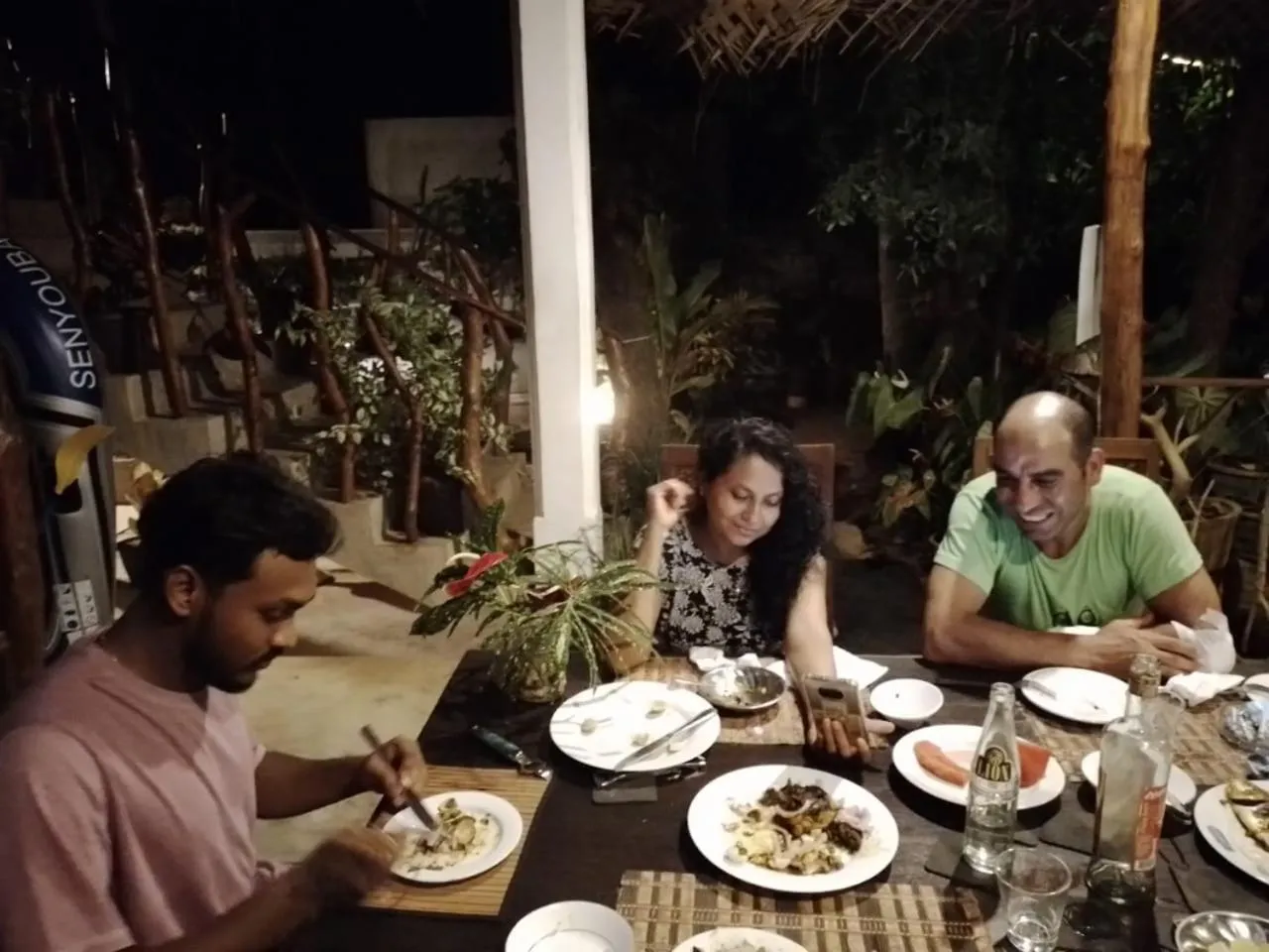 Night in Turtle Paradise