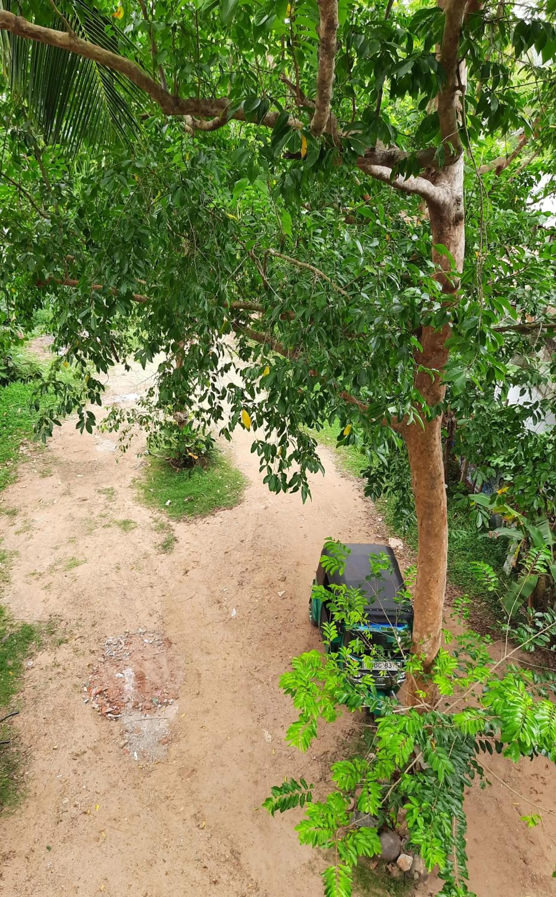 Property building in Turtle Paradise