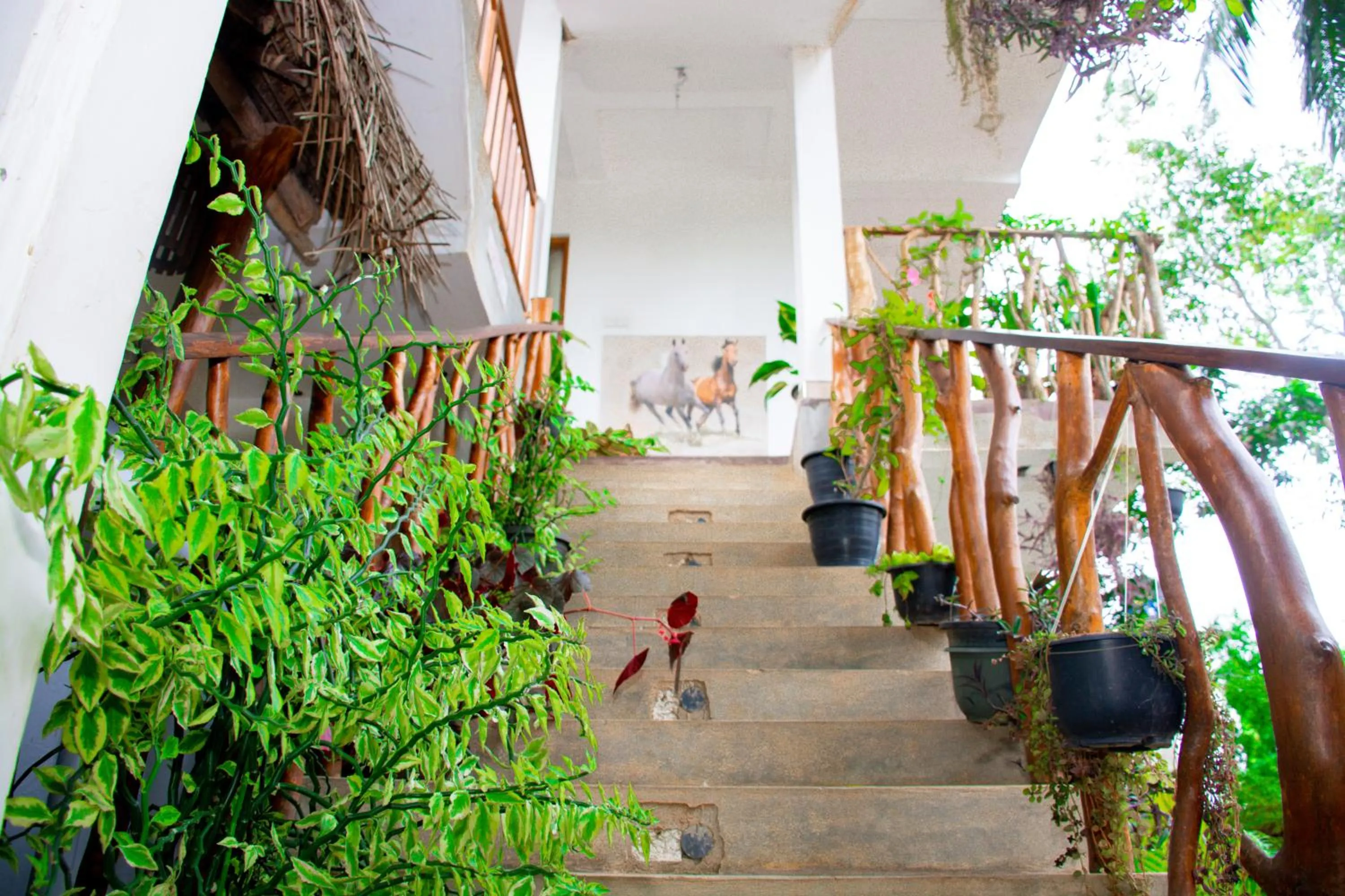 Garden view in Turtle Paradise