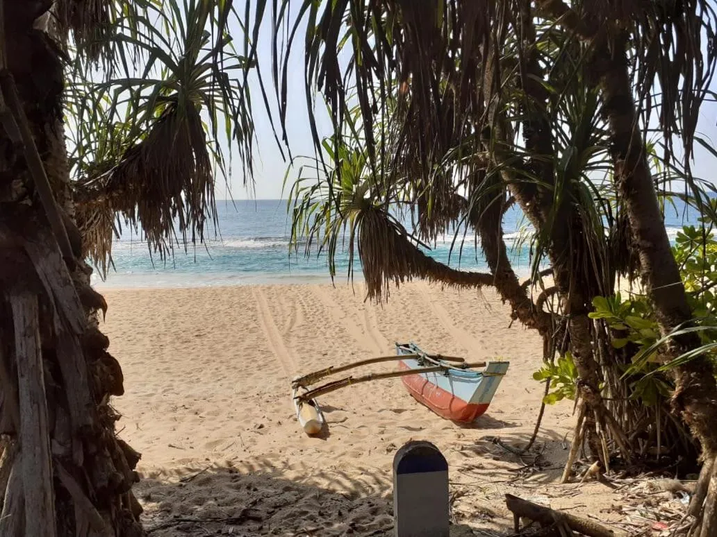 Beach in Turtle Paradise