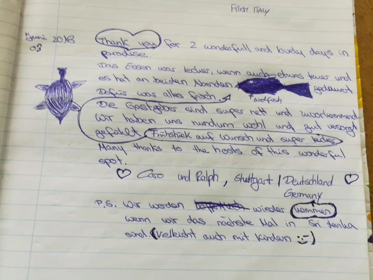 group of guests in Turtle Paradise