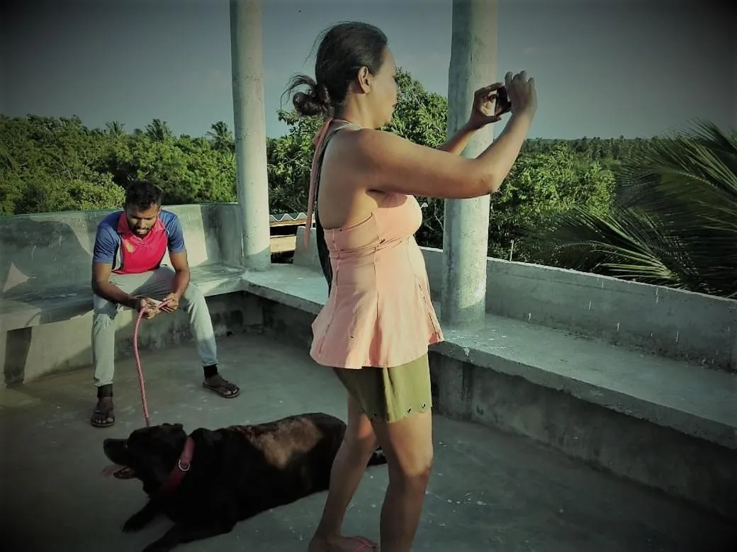 Seating area in Turtle Paradise