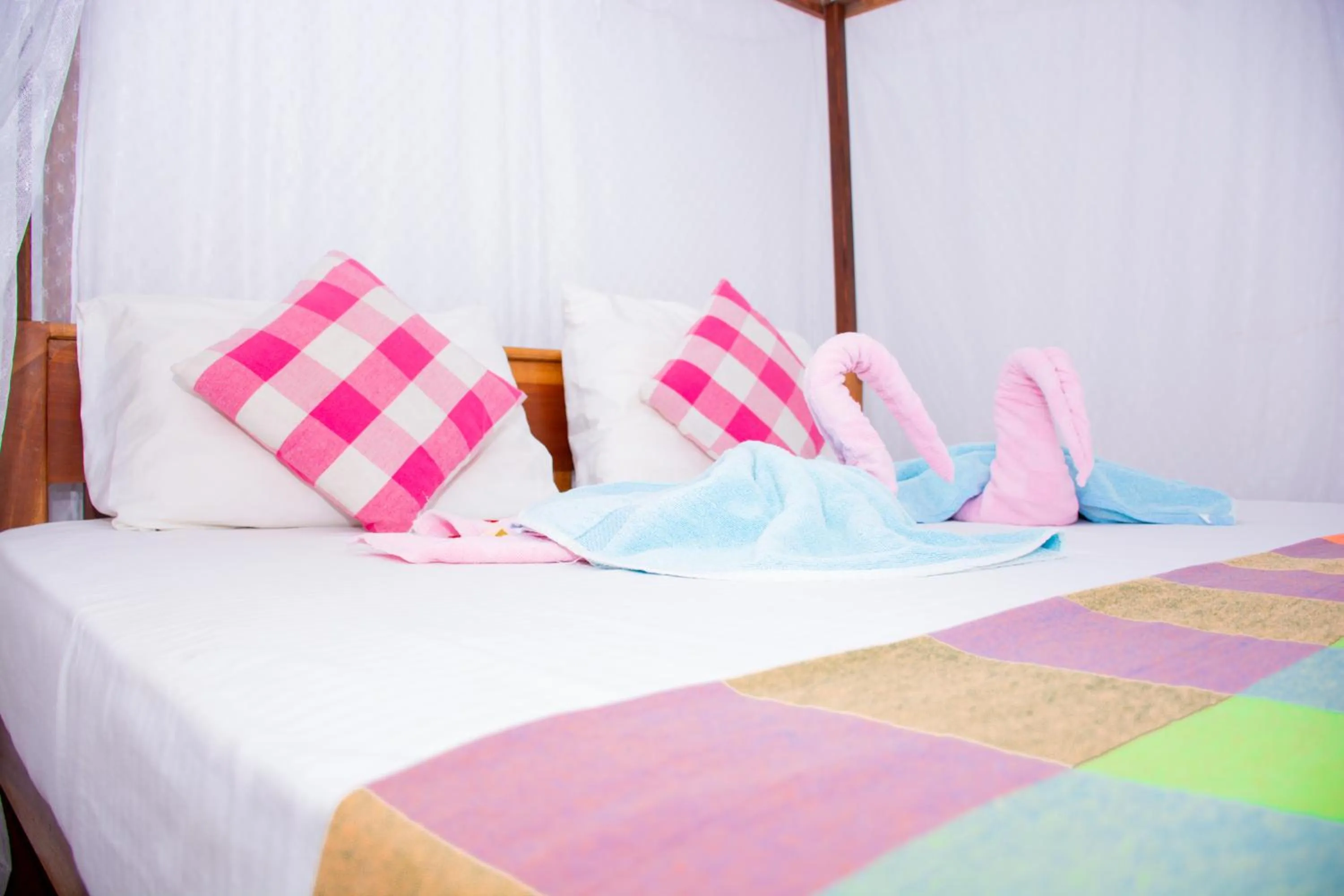 Standard Double Room in Turtle Paradise