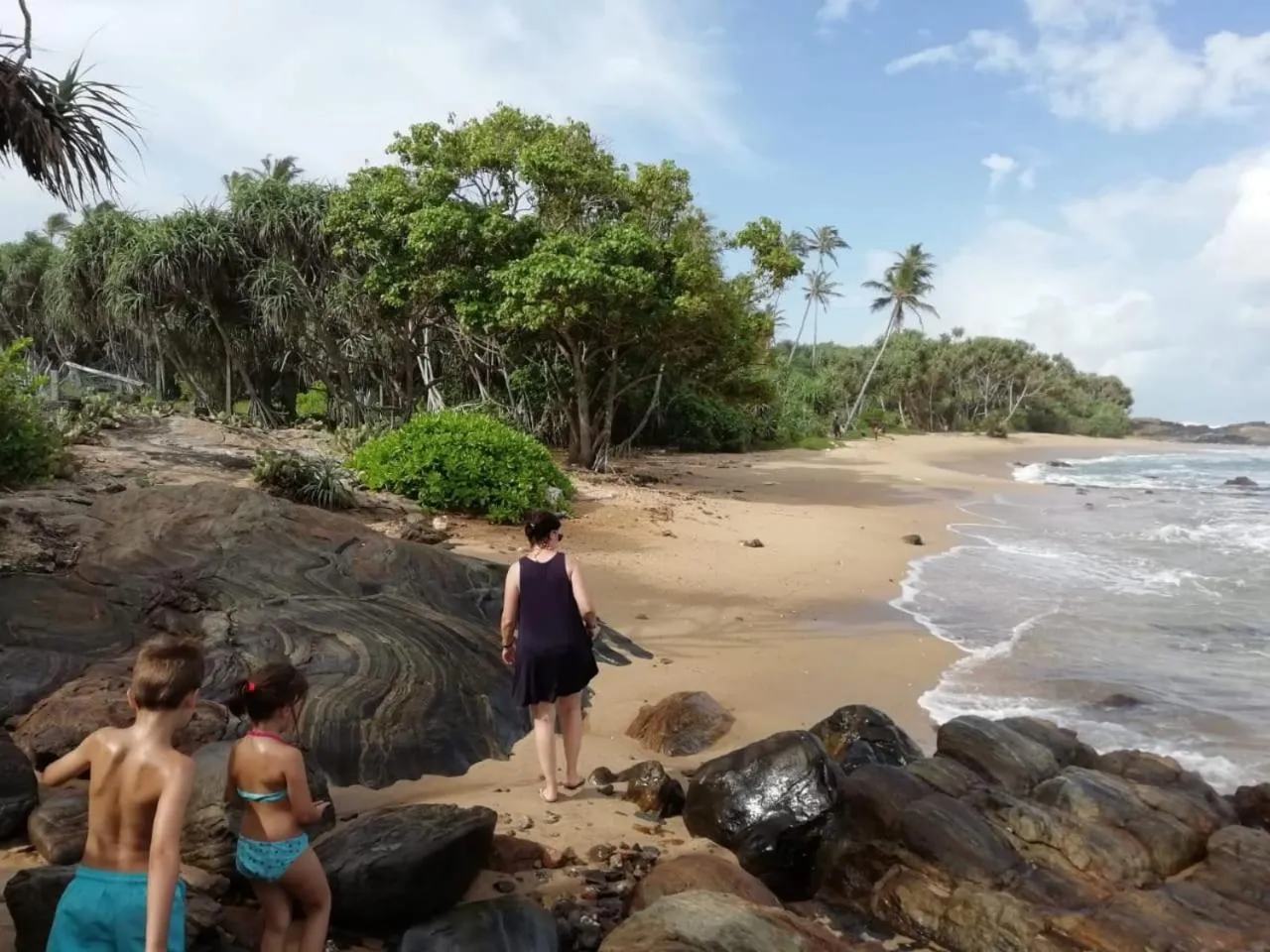 Beach in Turtle Paradise