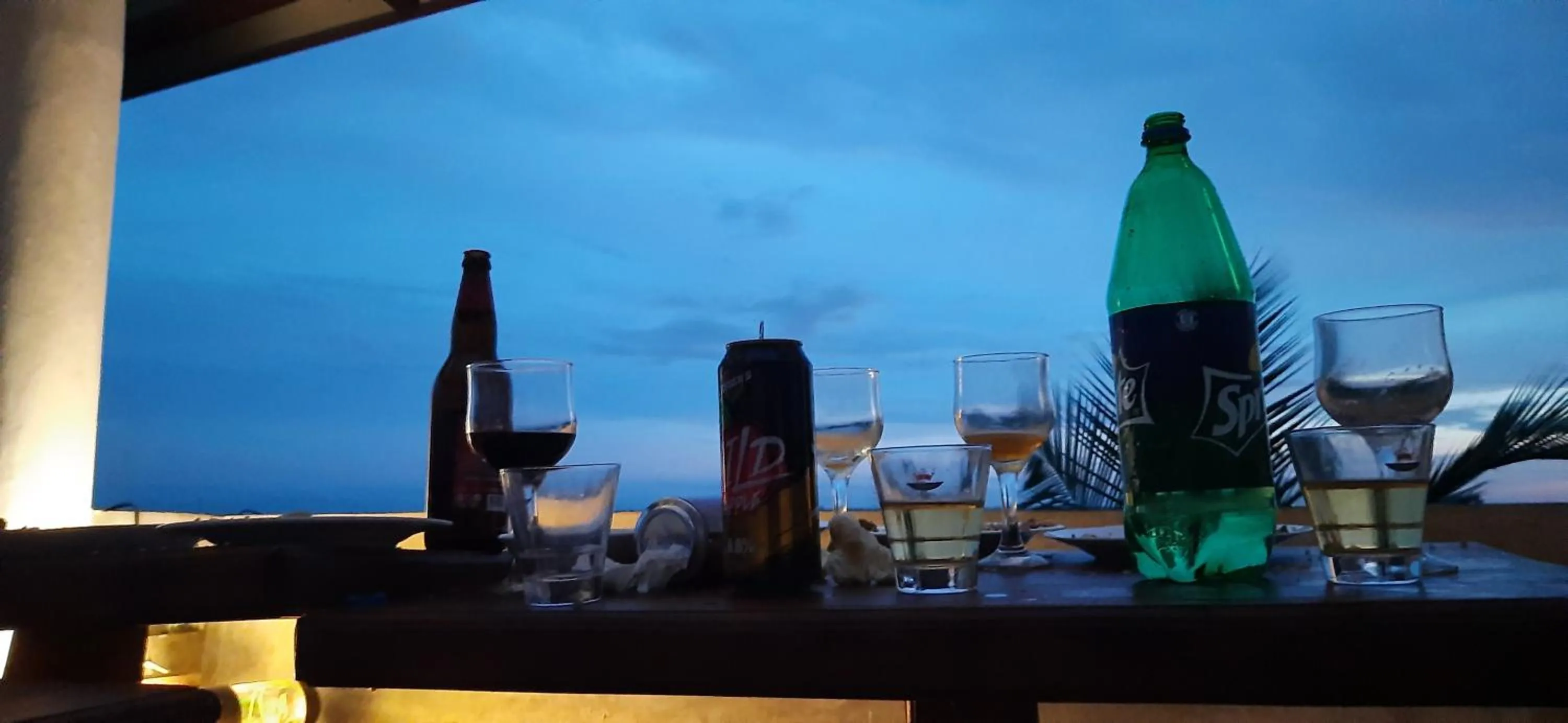 Drinks in Turtle Paradise