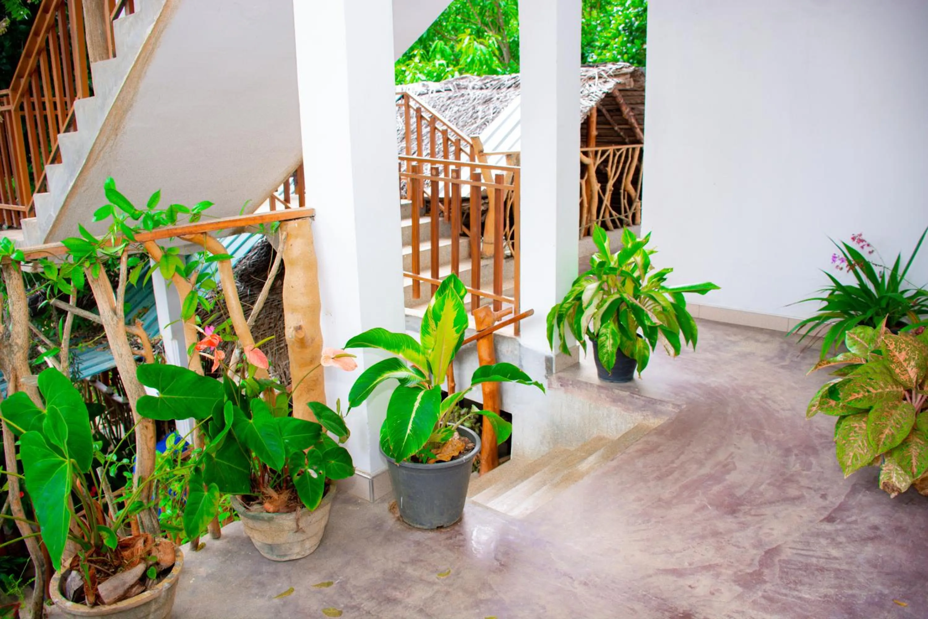 Garden in Turtle Paradise