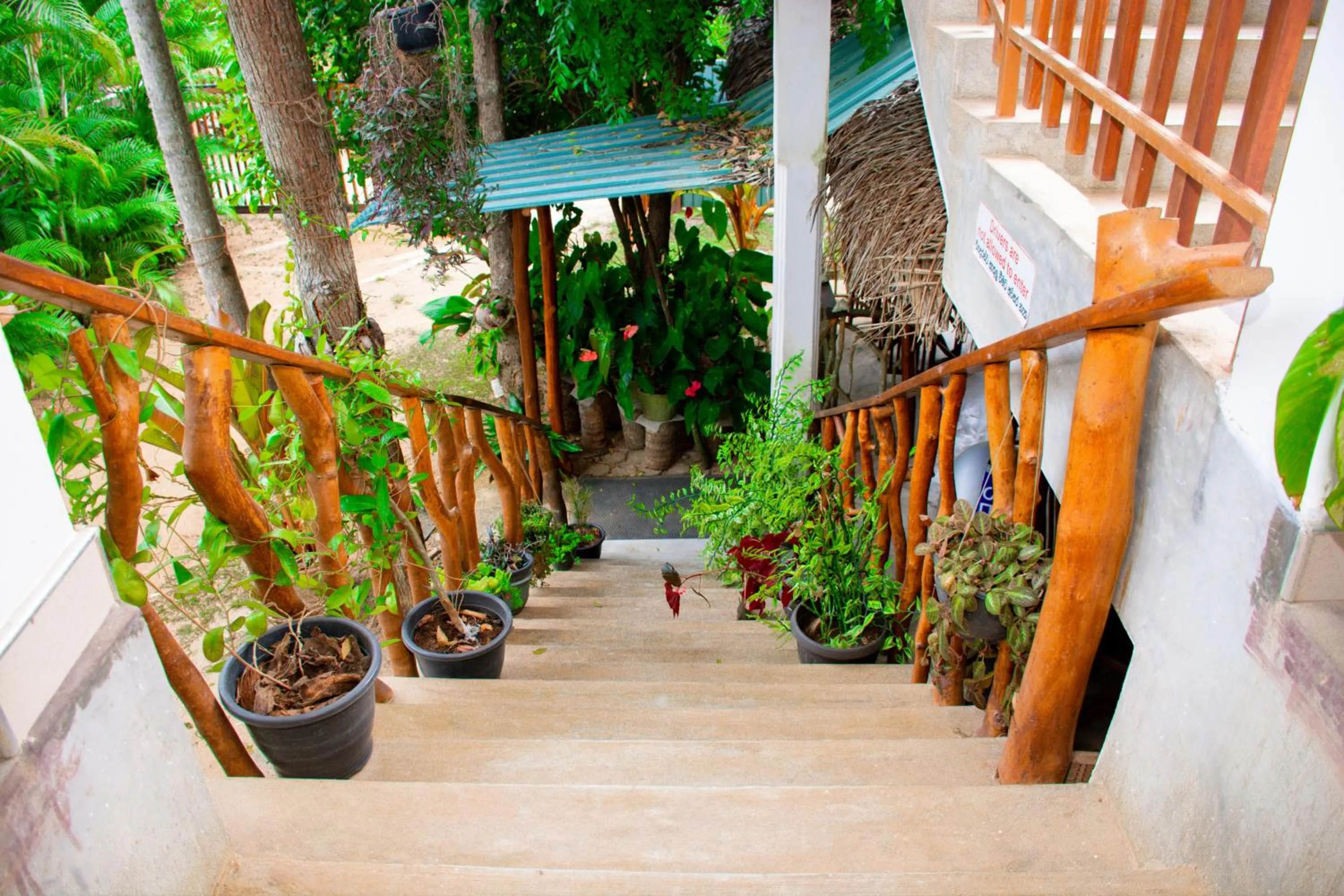 Garden in Turtle Paradise