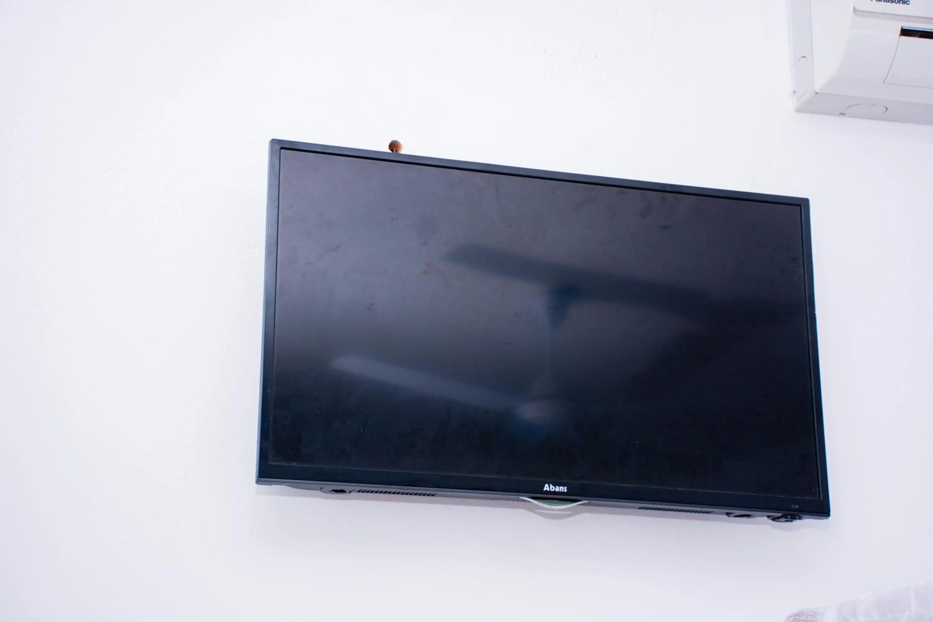 TV and multimedia in Turtle Paradise