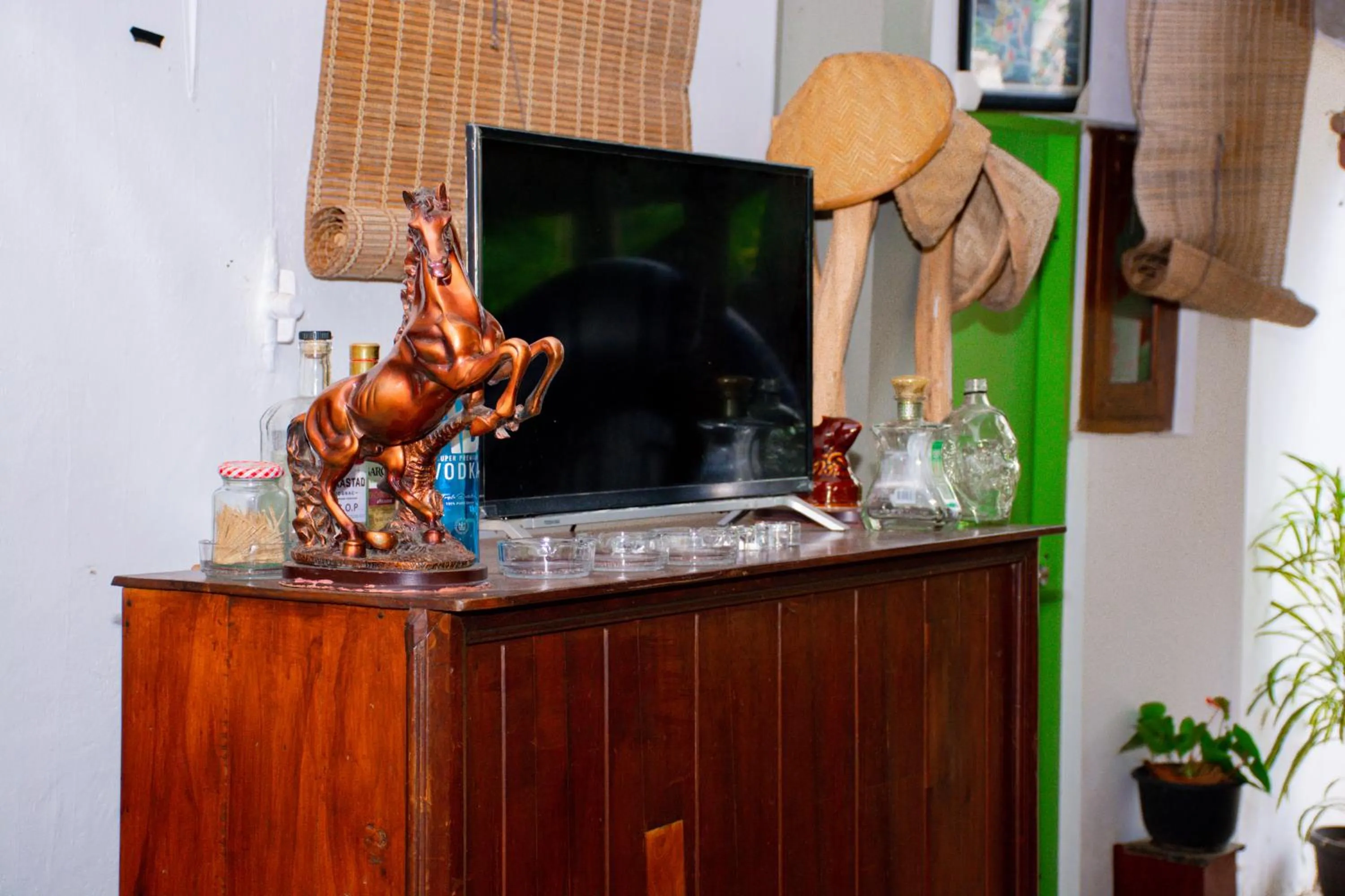 TV and multimedia in Turtle Paradise