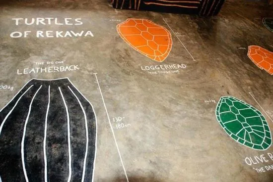 Logo/Certificate/Sign in Turtle Paradise