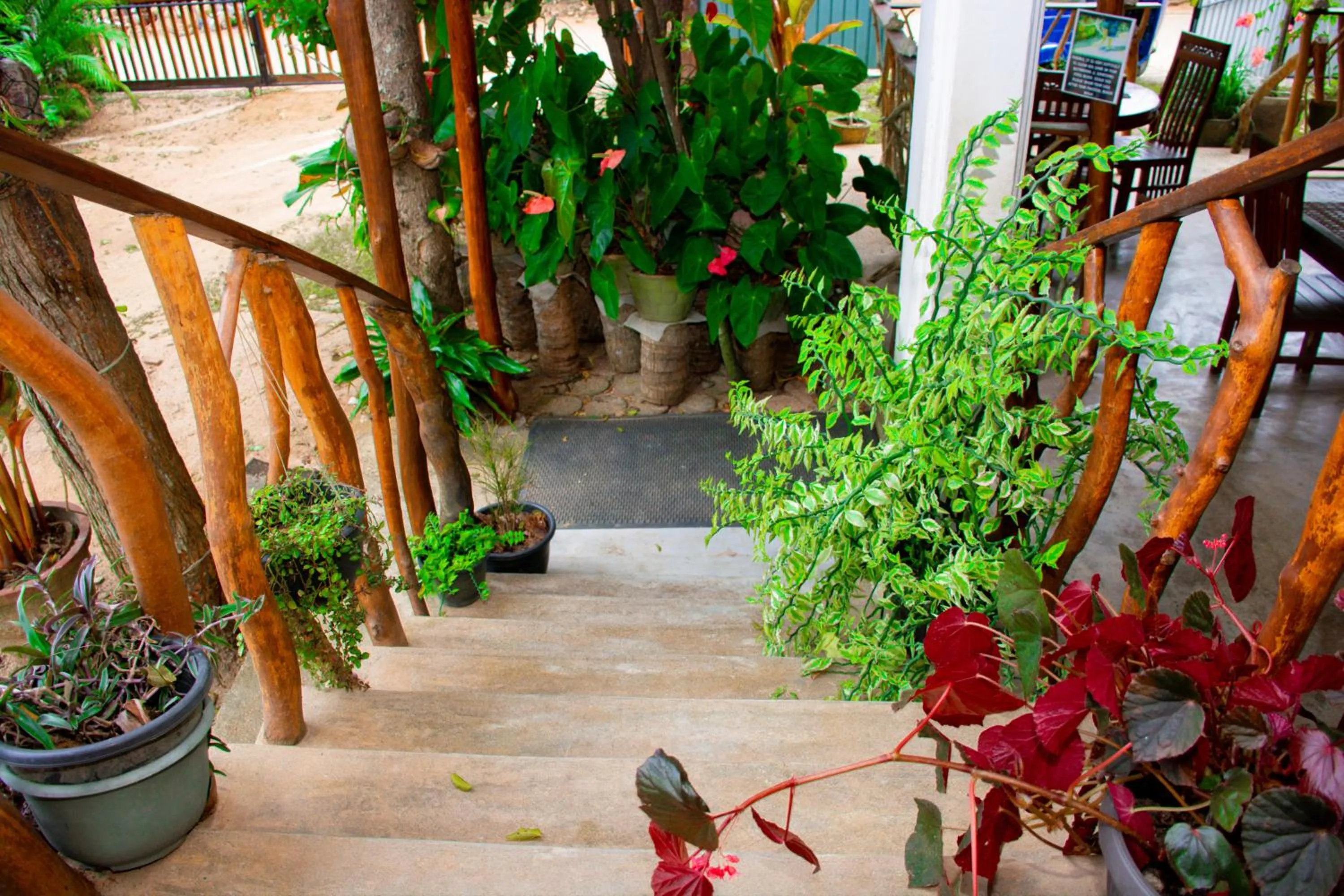 Day in Turtle Paradise