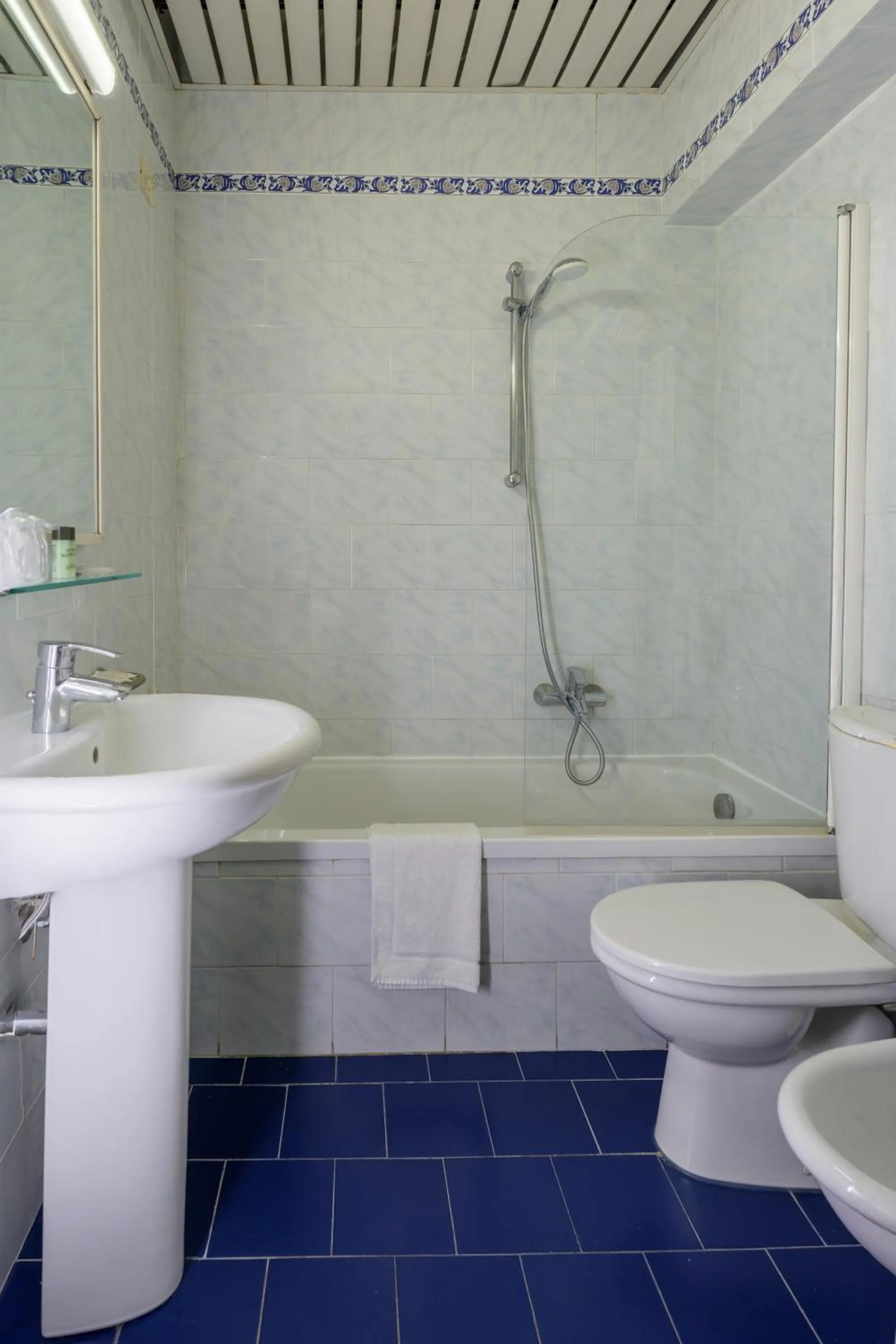 Hotel Delta Florence