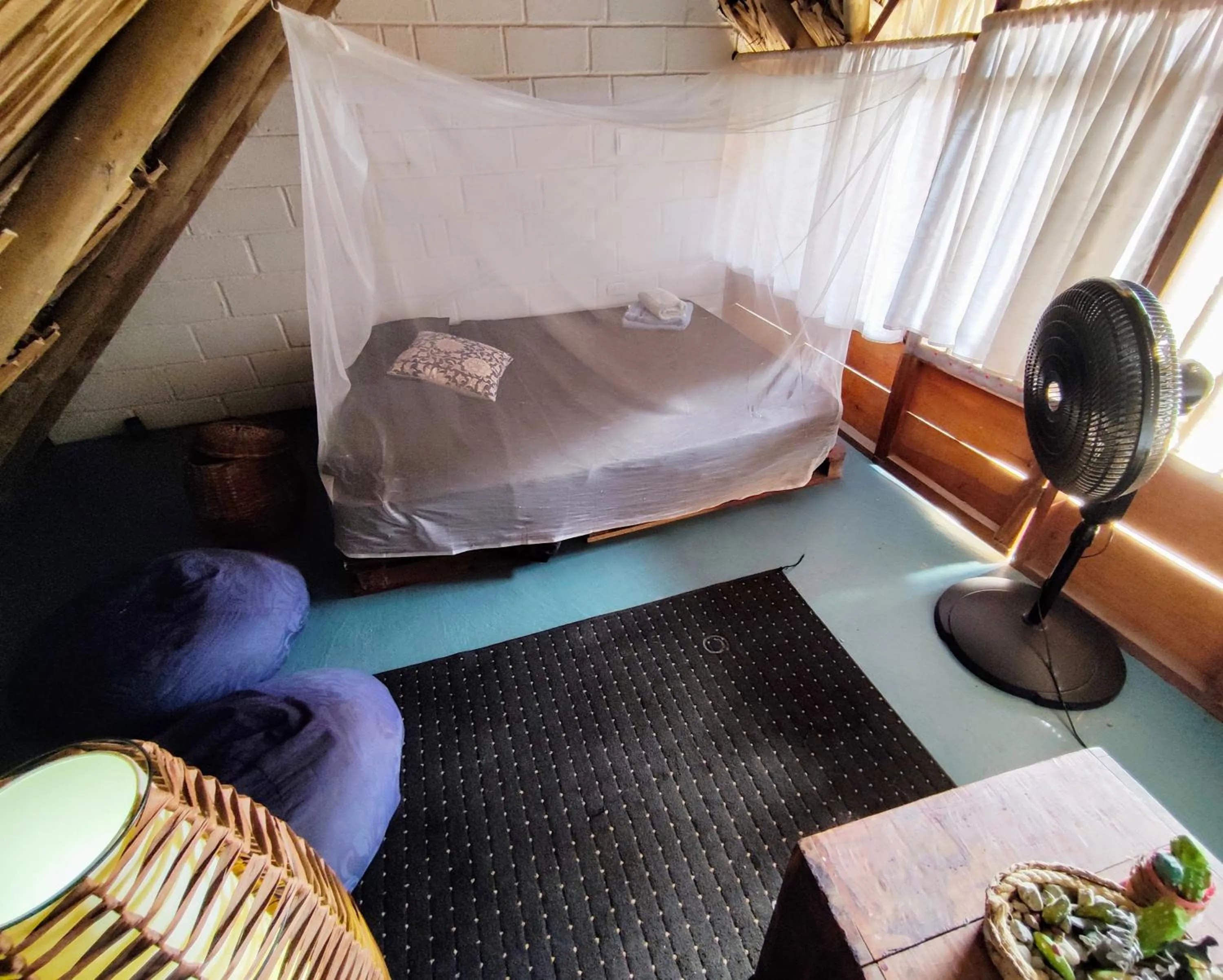 Standard Double Room with Shared Bathroom - single occupancy in El Zoo Hostel, Bar & Pool