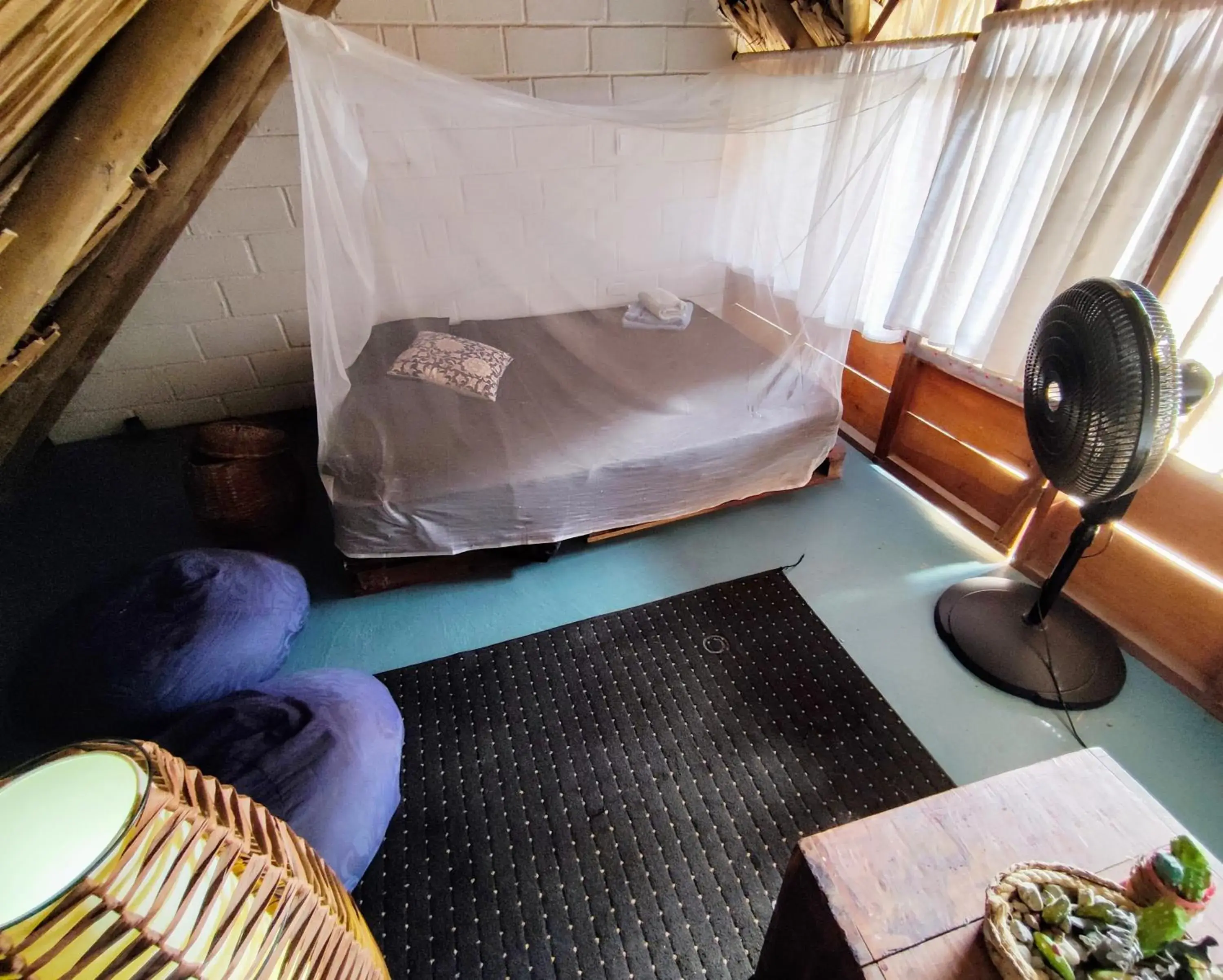 Standard Double Room with Shared Bathroom - single occupancy in El Zoo Hostel, Bar & Pool Standard Double Room with Shared Bathroom - single occupancy in El Zoo Hostel, Bar & Pool