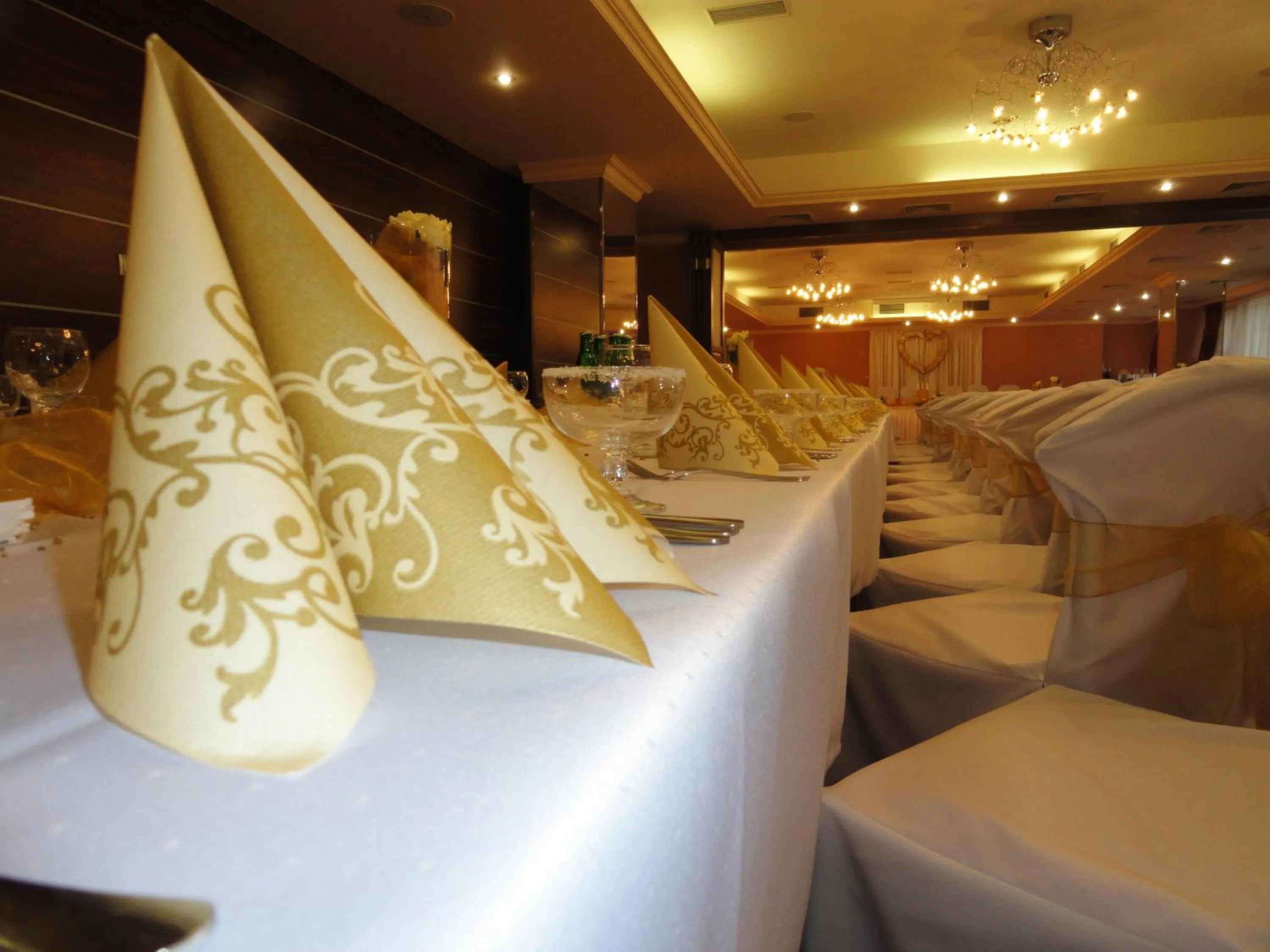 Banquet/Function facilities in Hotel Druzba