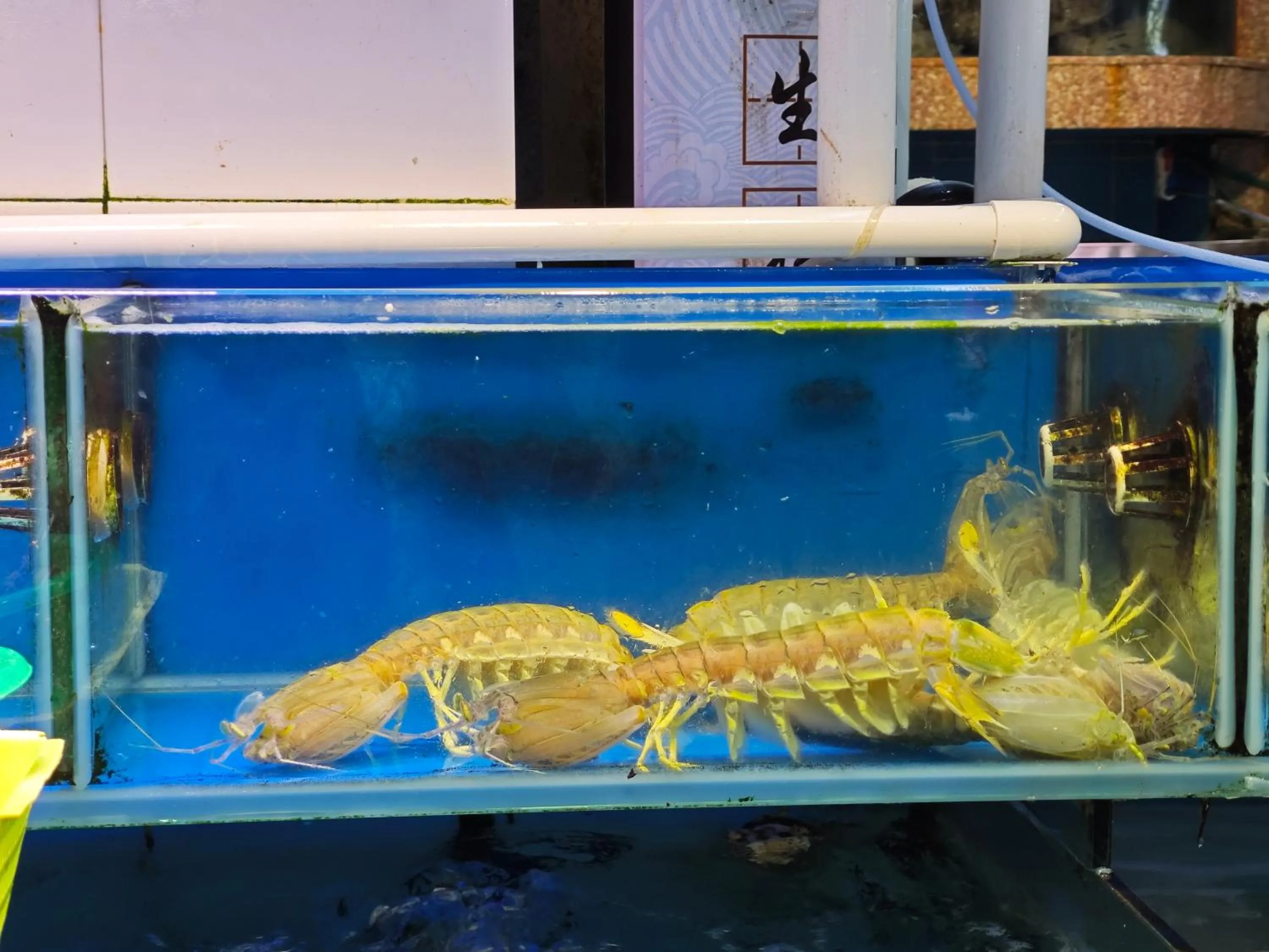 Other in The Clouds Apartment