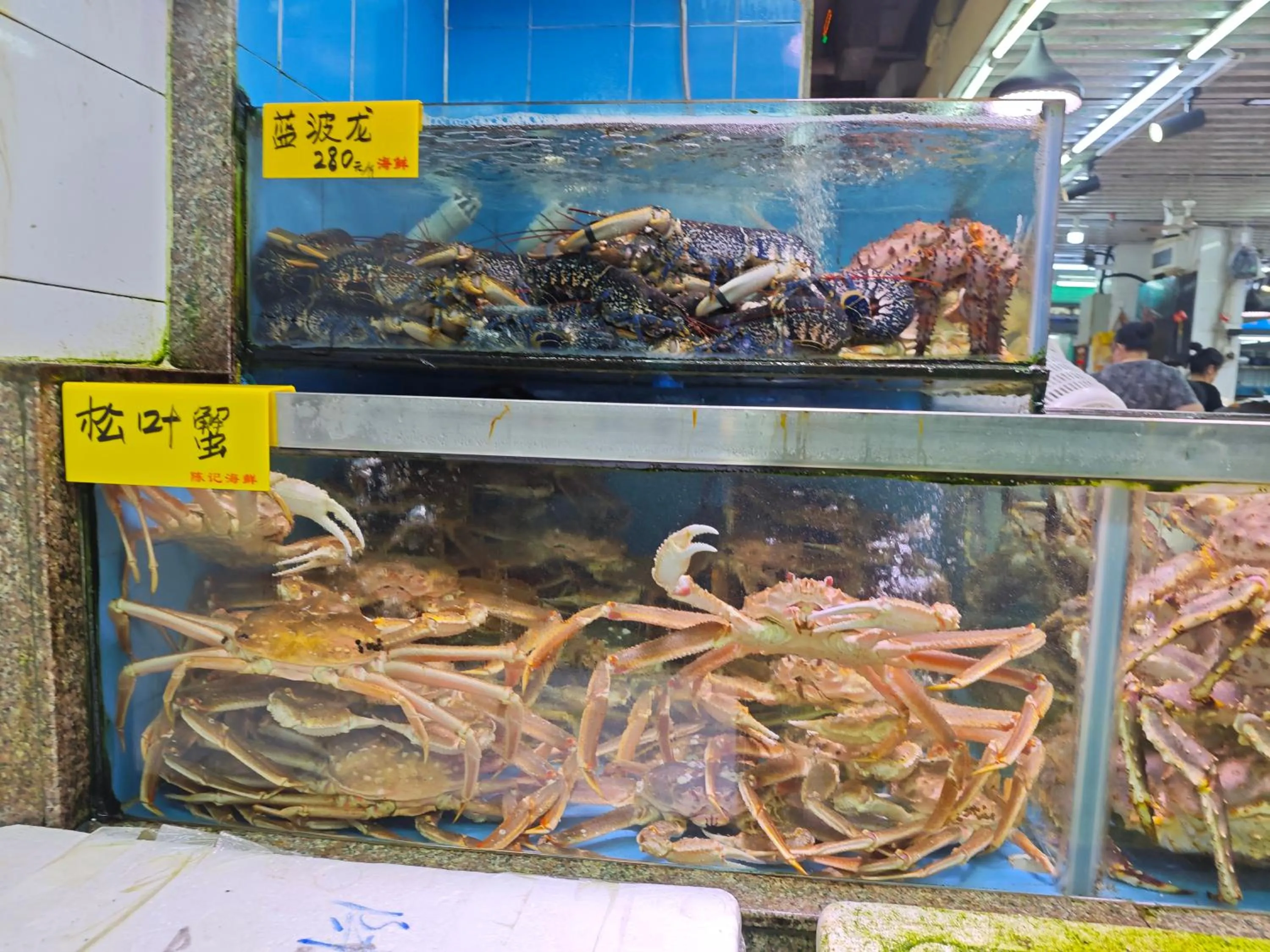 Other in The Clouds Apartment