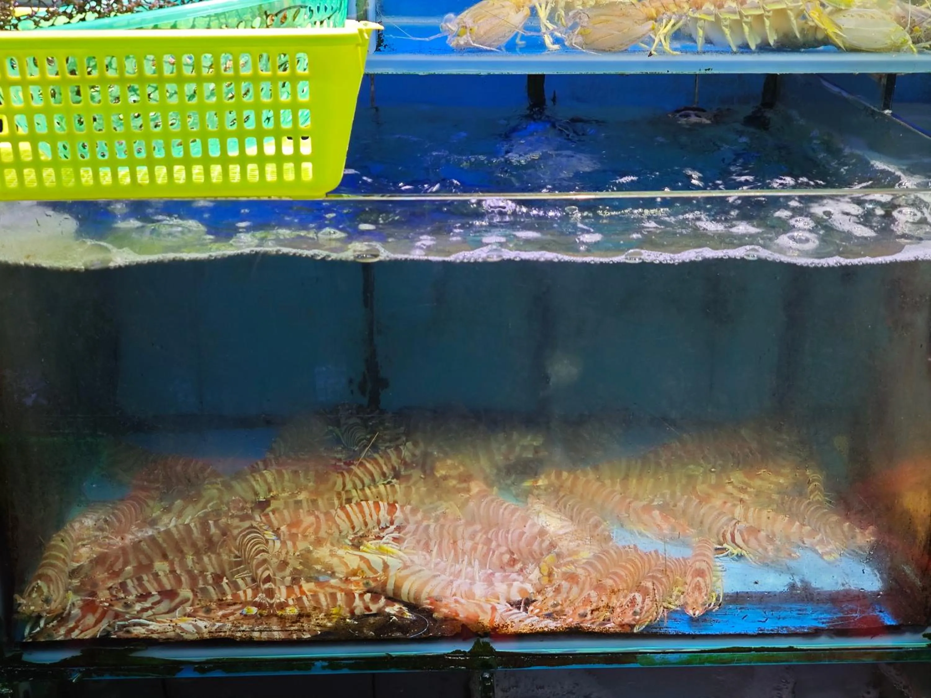 Other in The Clouds Apartment