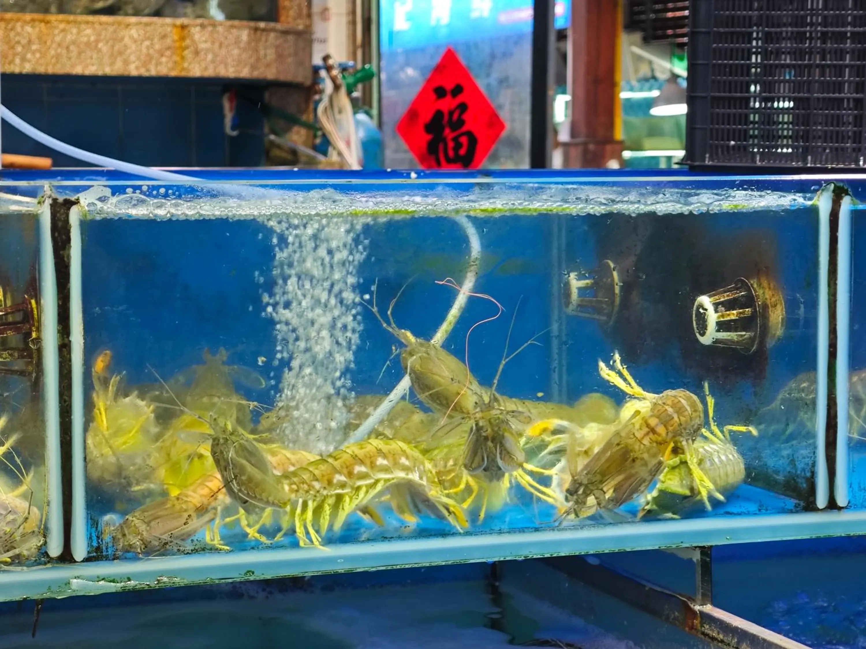 Other in The Clouds Apartment