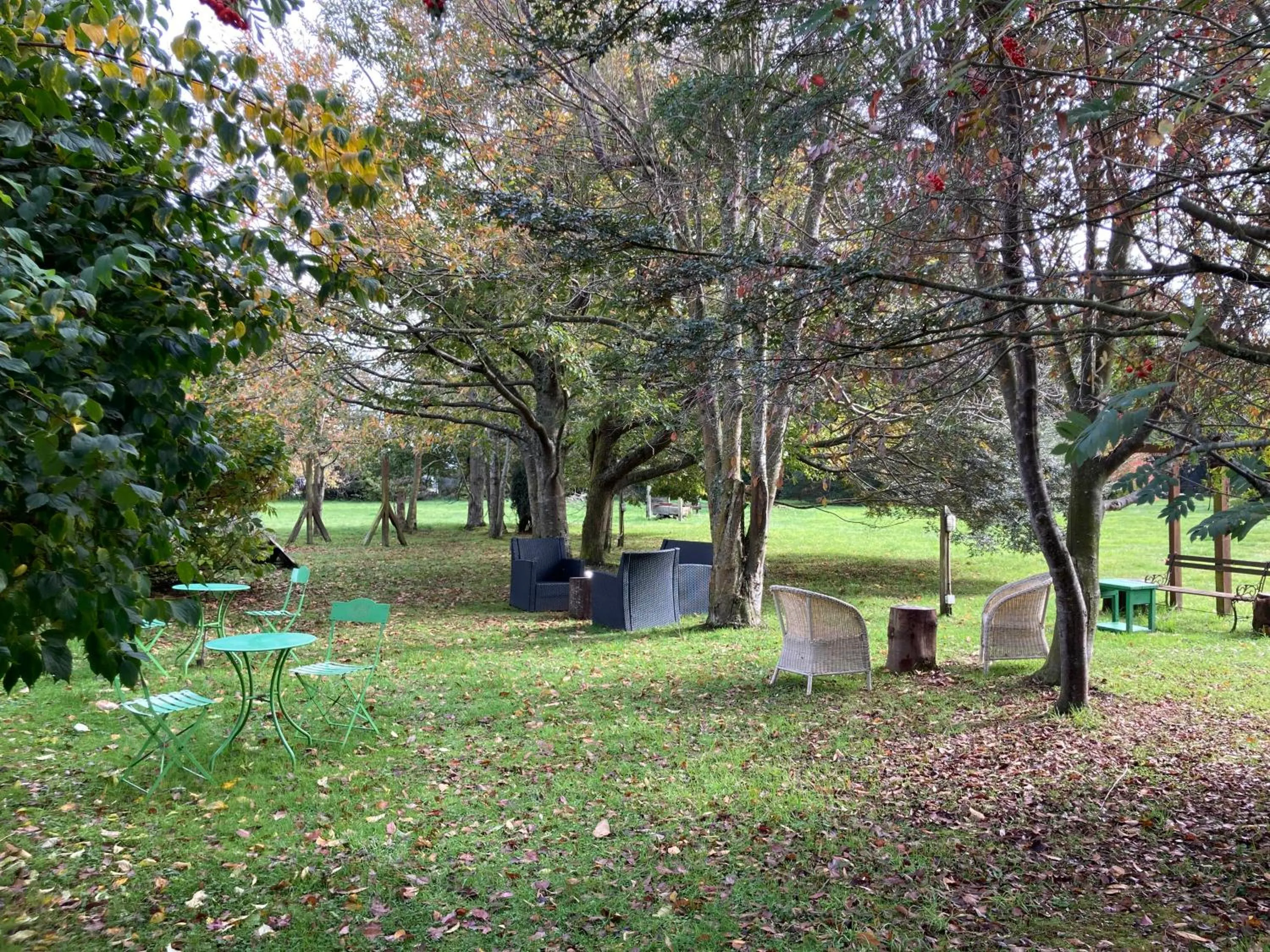 Garden in Hotel Truyaca