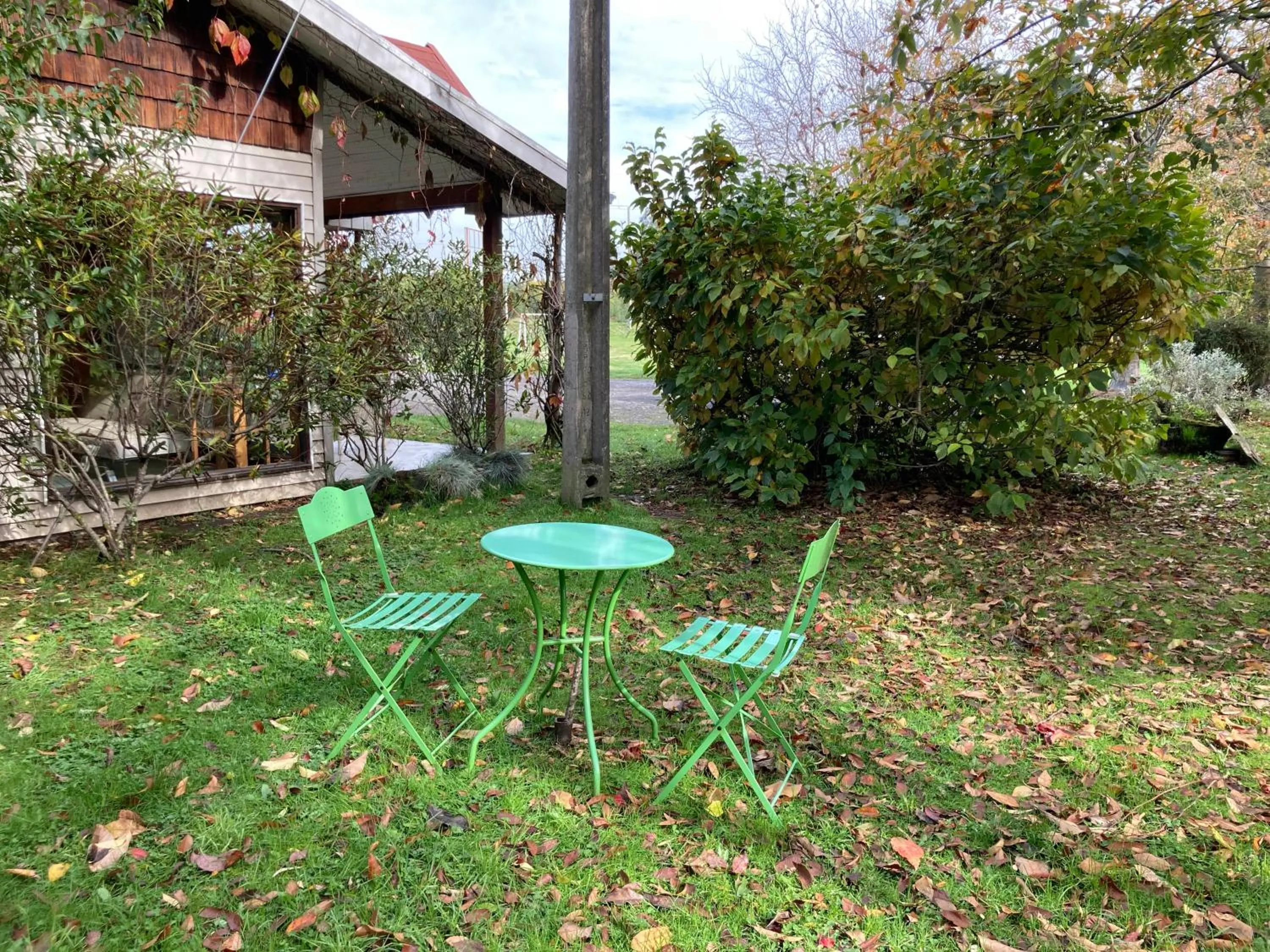Garden in Hotel Truyaca