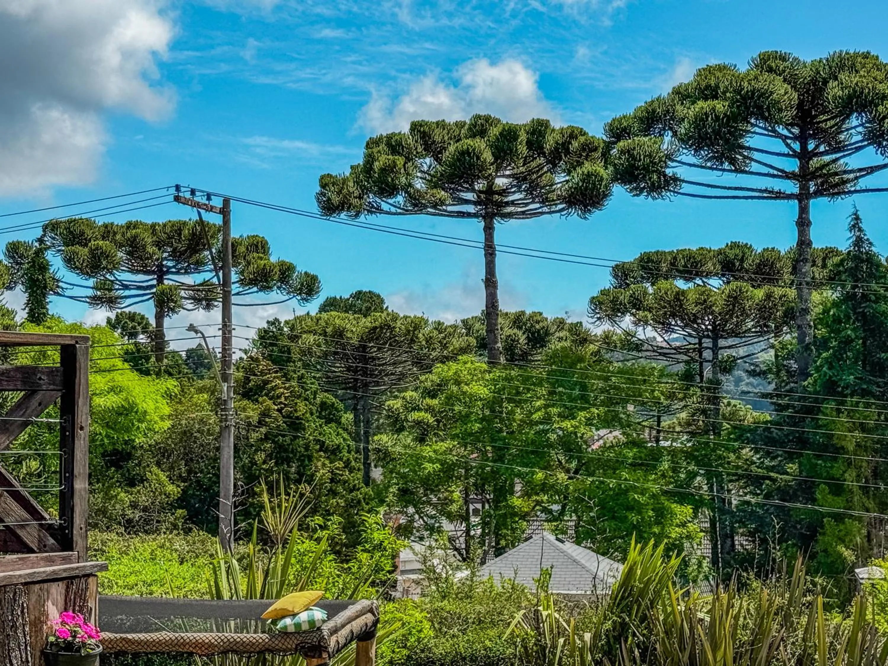 Garden in Pousada Victoria Villa By Nacional Inn - A 800 metros da Vila Capivari