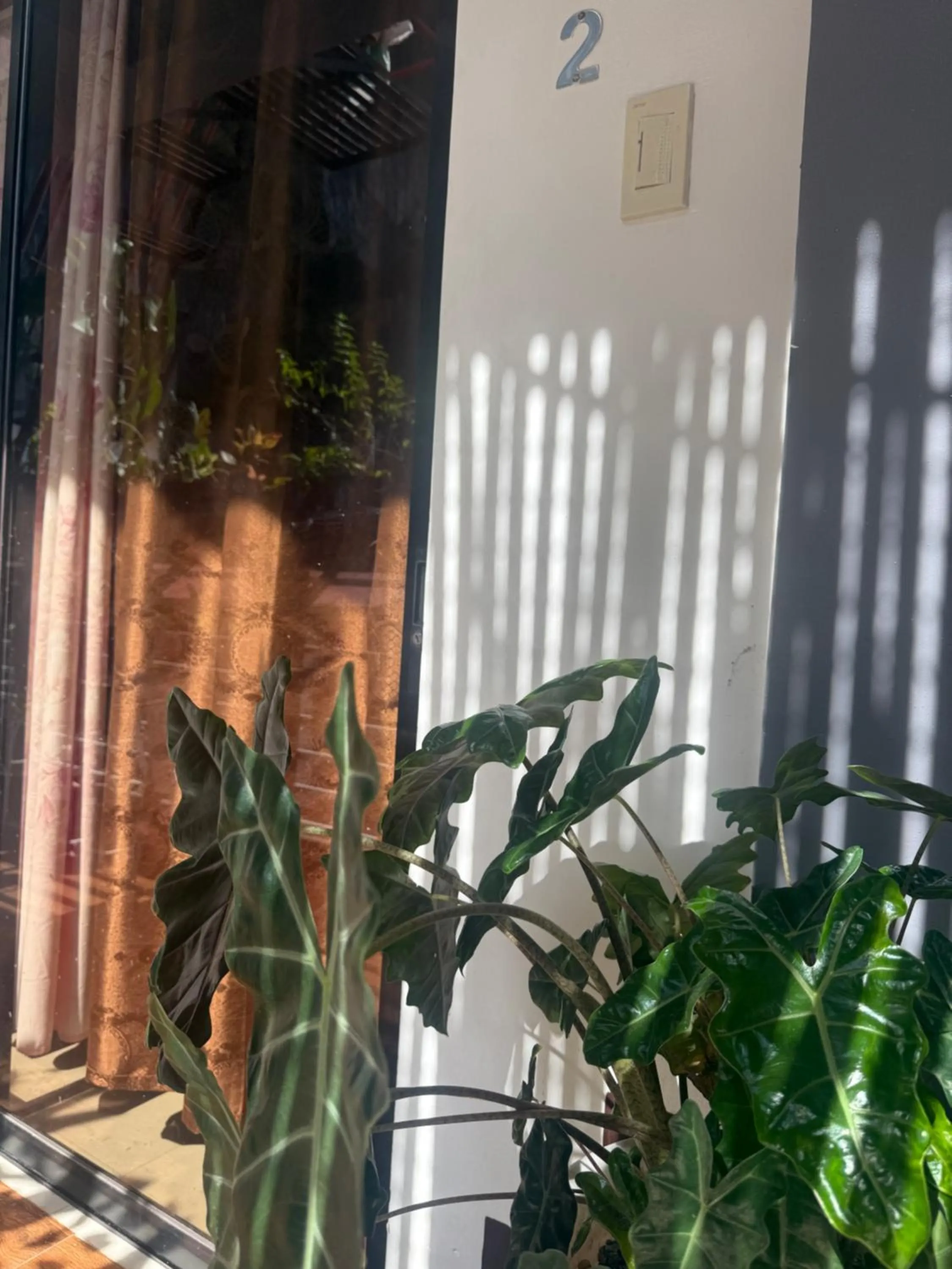 Lolo Bob's Bed And Breakfast