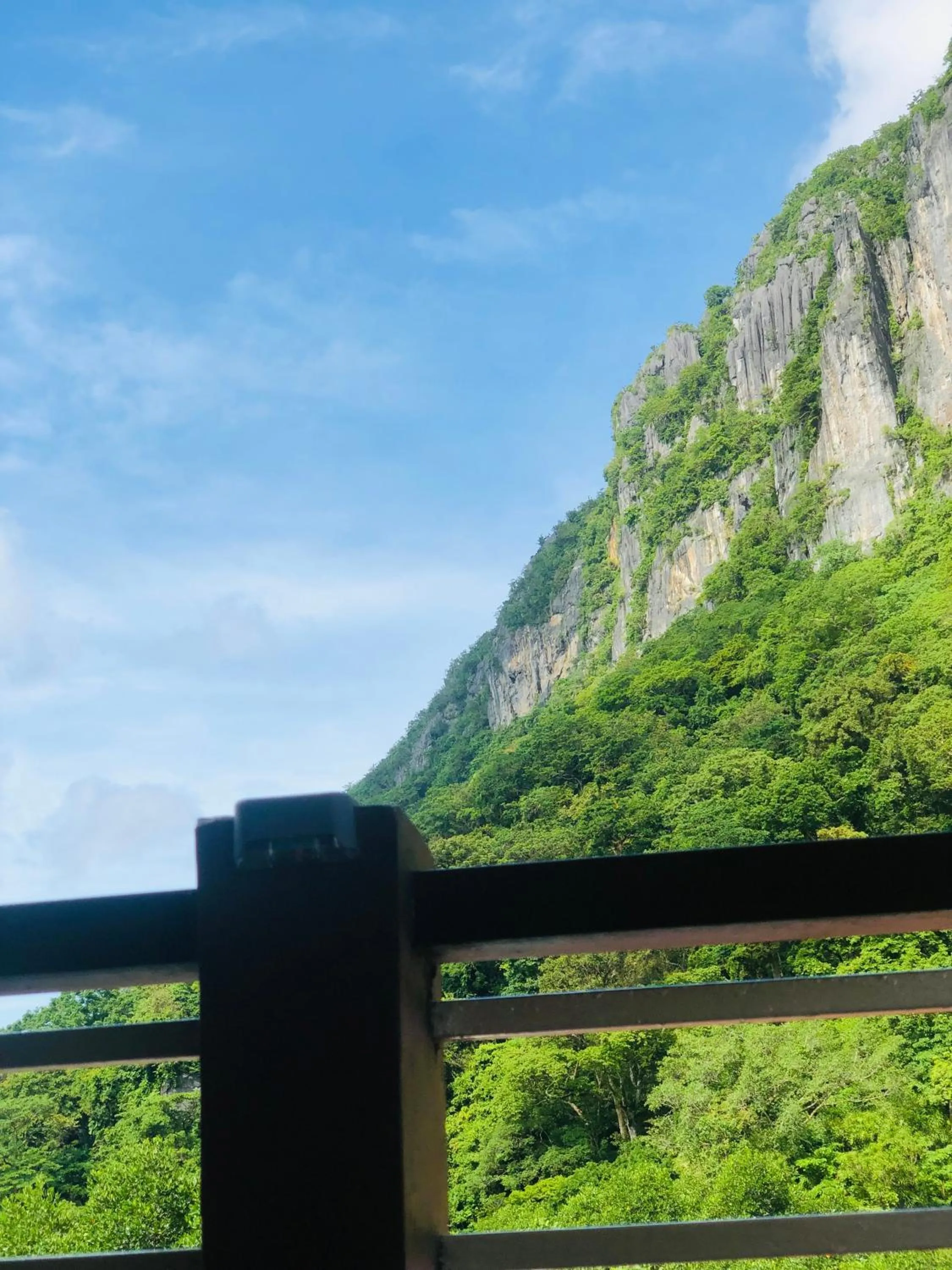 Mountain view in Lolo Bob's Bed And Breakfast