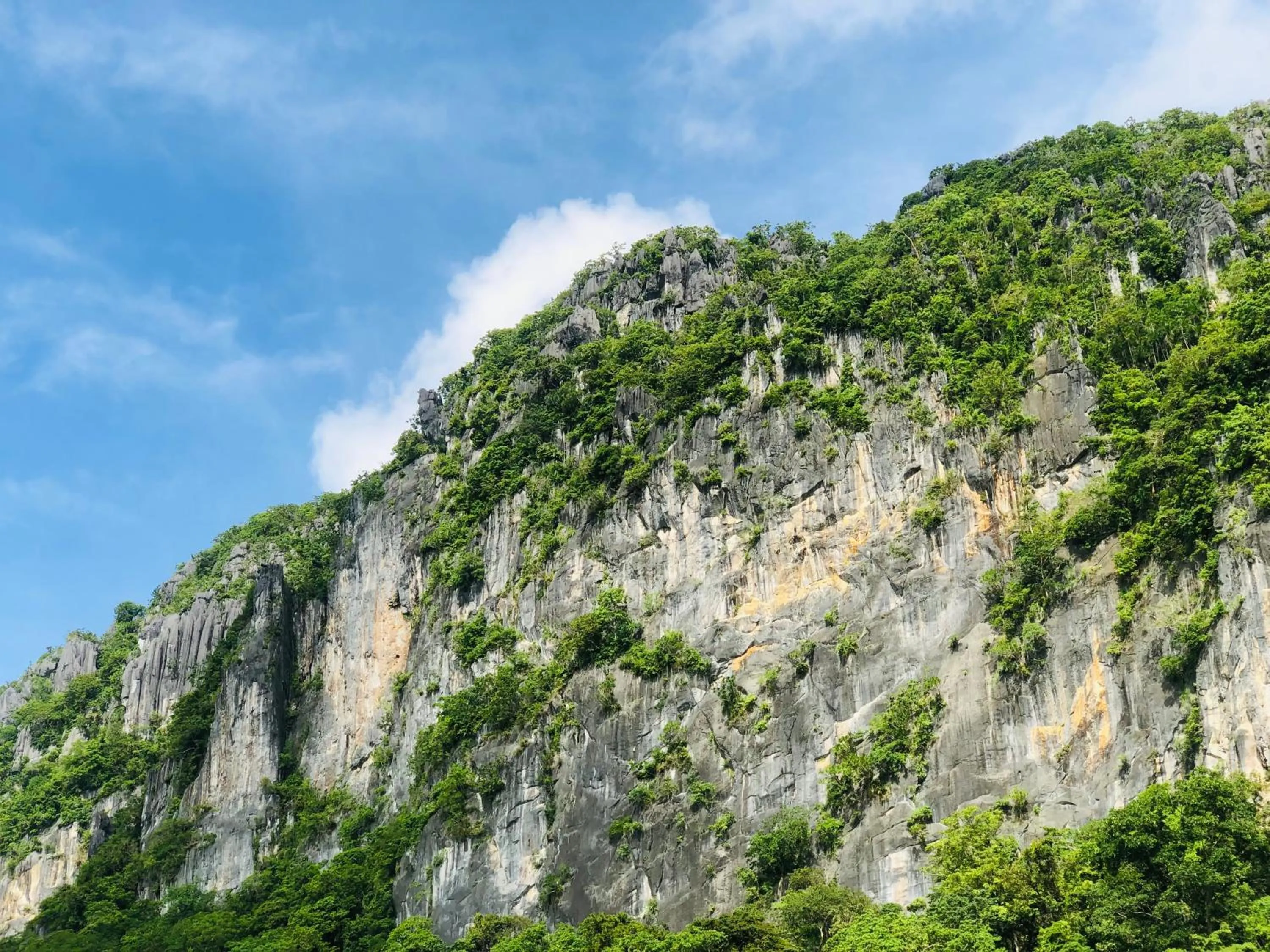 Mountain view in Lolo Bob's Bed And Breakfast