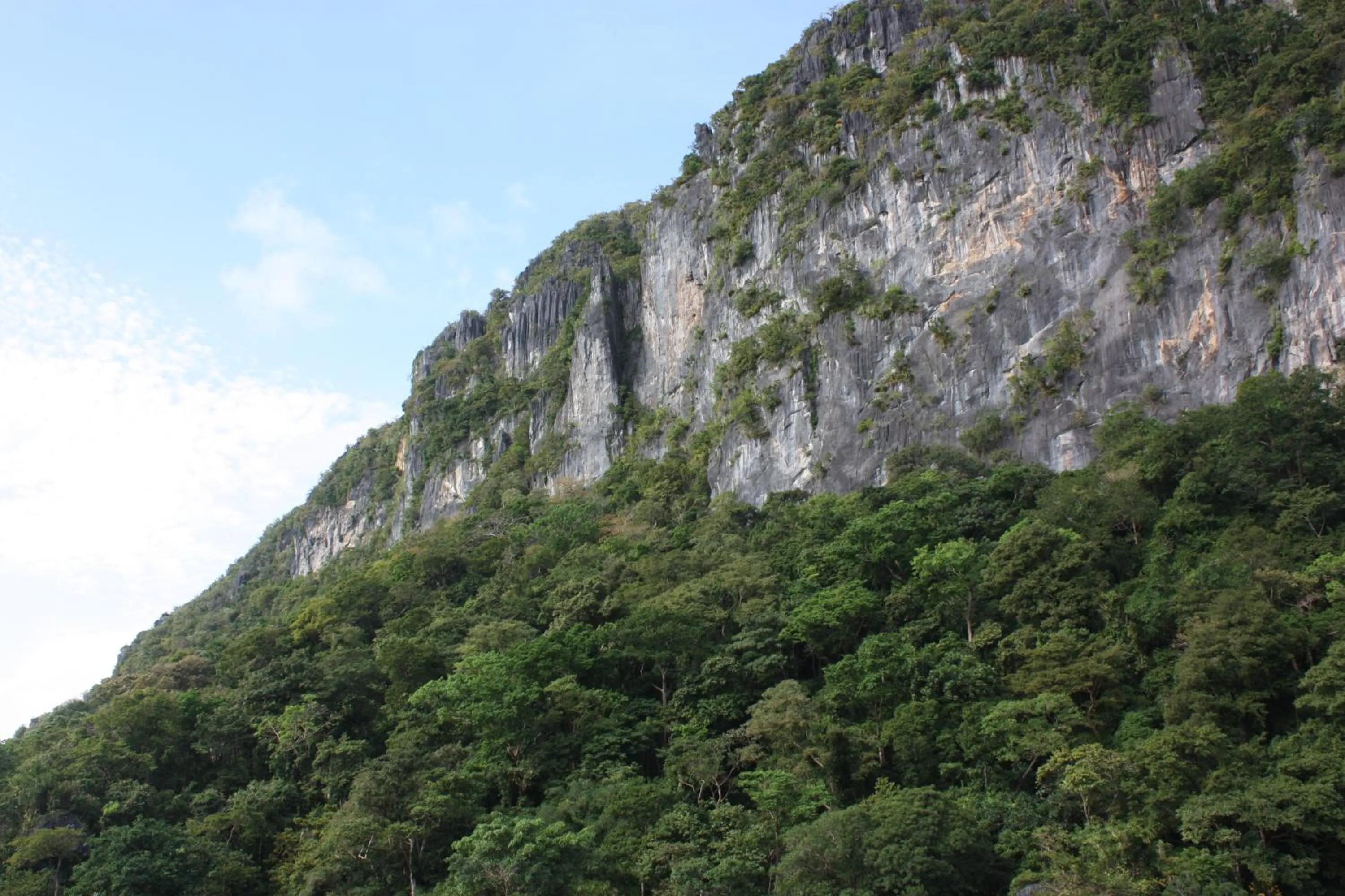 Mountain view in Lolo Bob's Bed And Breakfast