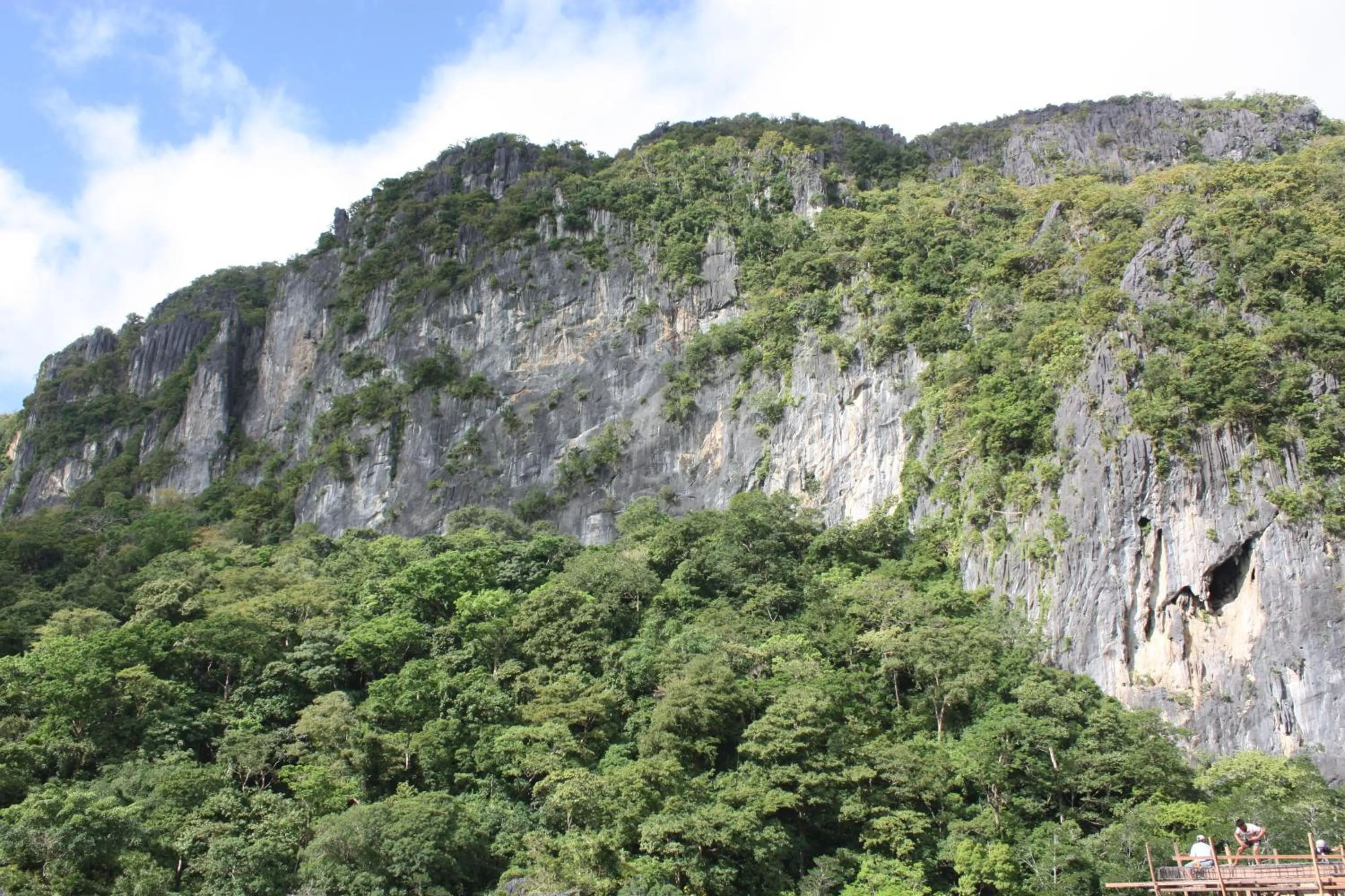 Mountain view in Lolo Bob's Bed And Breakfast