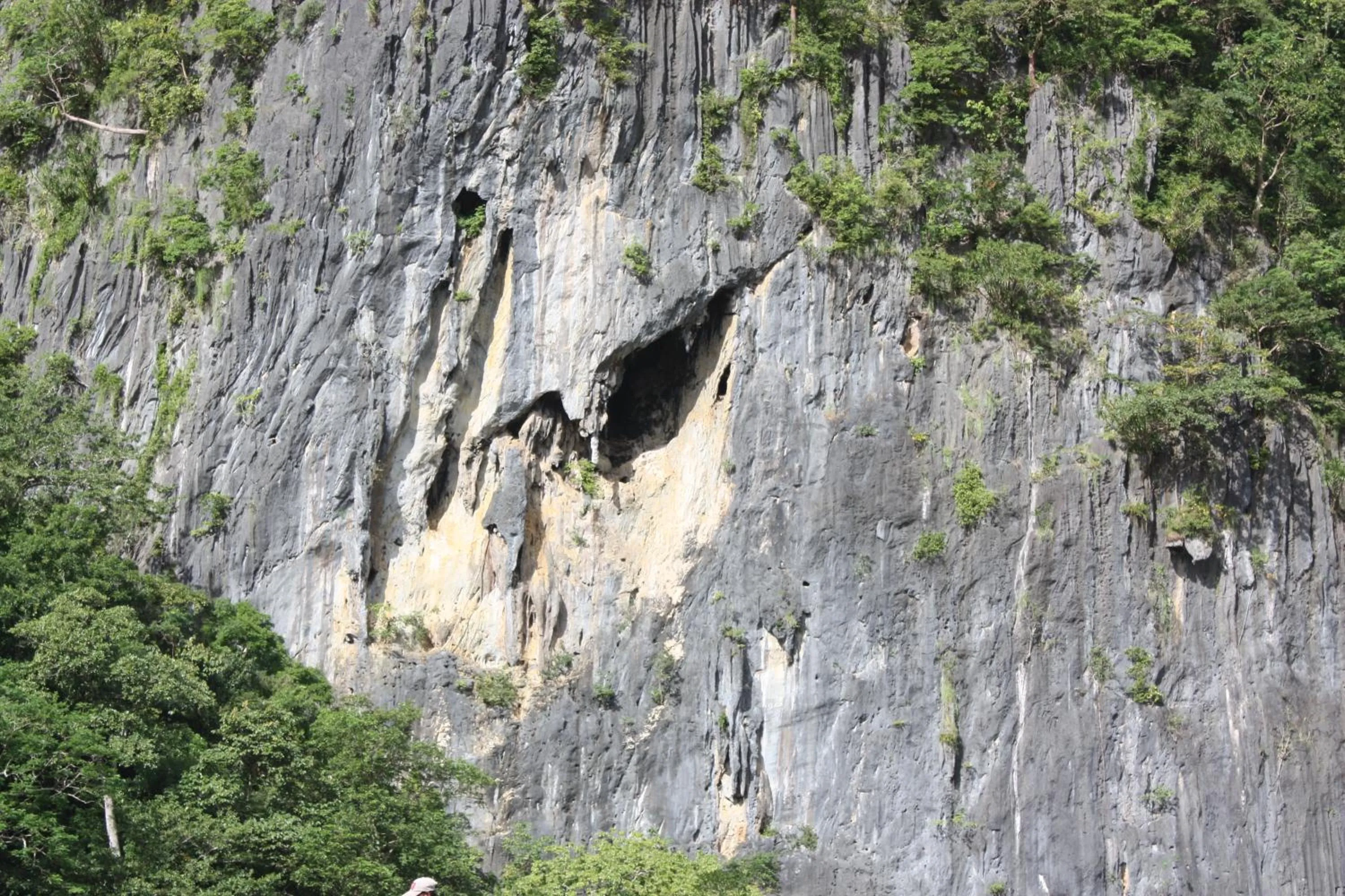 Mountain view in Lolo Bob's Bed And Breakfast