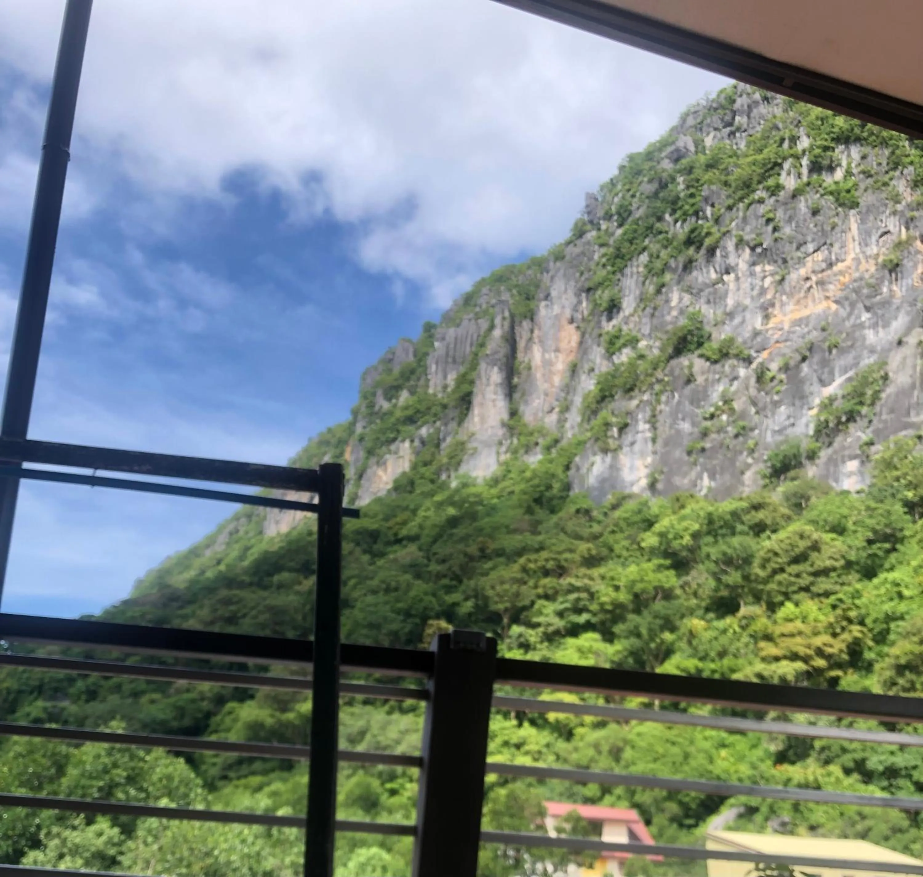 Mountain view in Lolo Bob's Bed And Breakfast