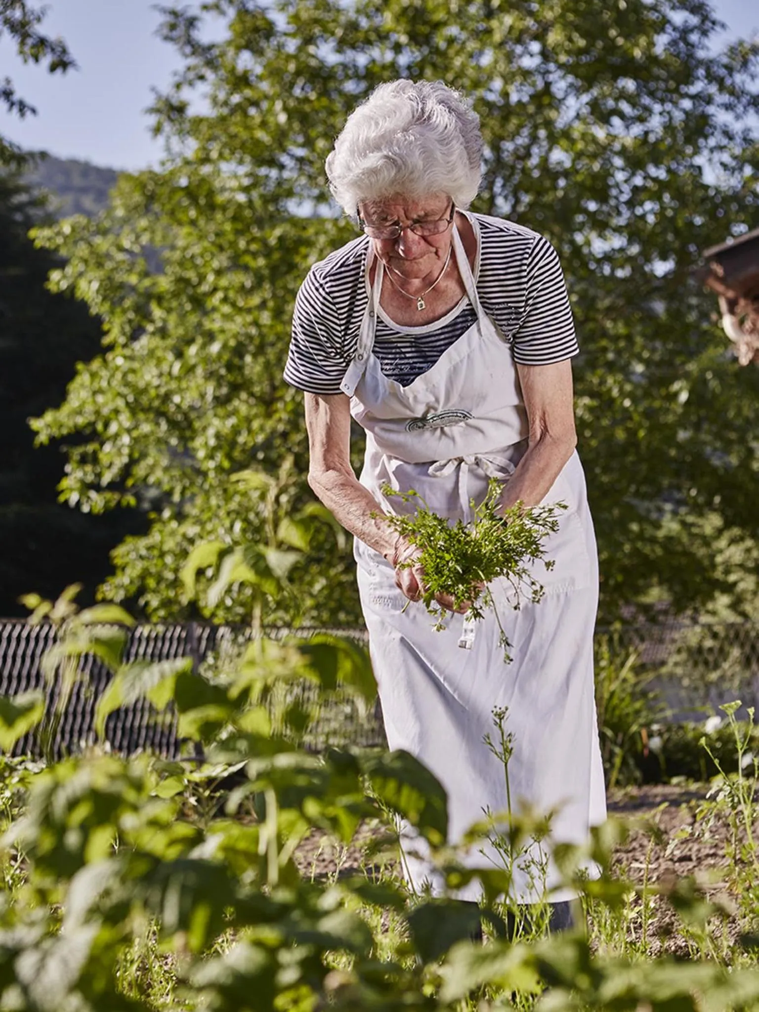 Garden in Landgasthof Erber