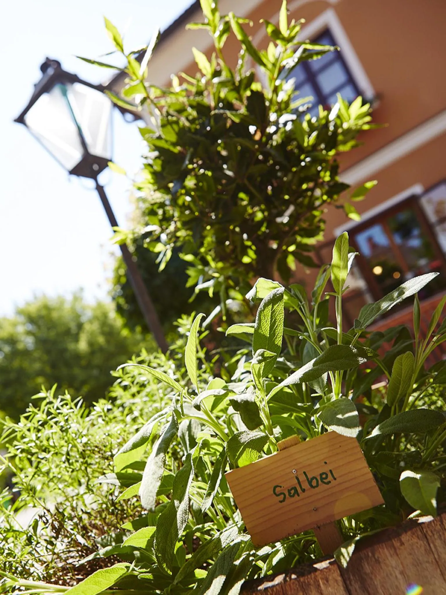 Facade/entrance in Landgasthof Erber
