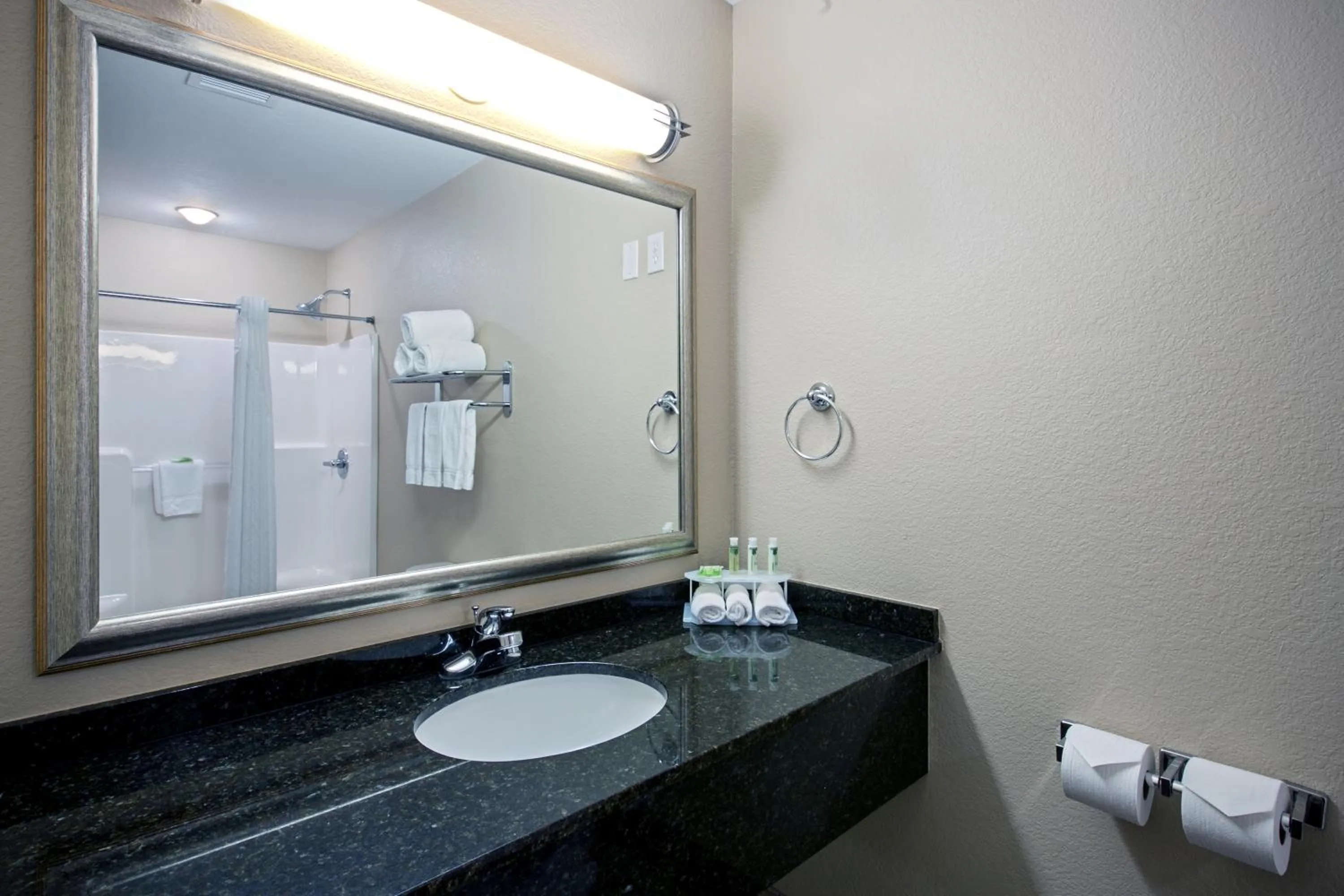 Bathroom in Holiday Inn Express & Suites - Green Bay East by IHG