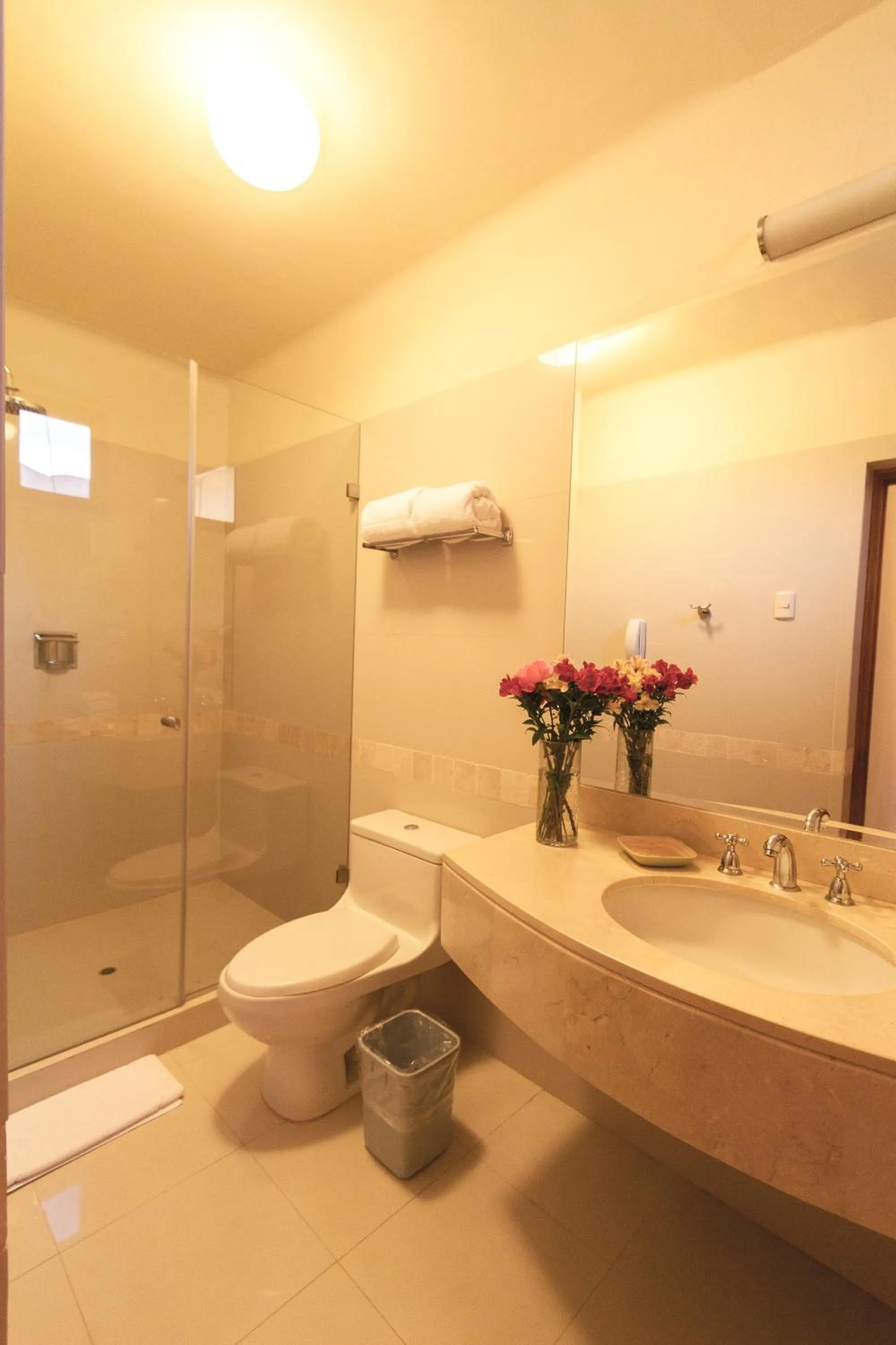 Shower in LP Los Portales Hotel Tarma