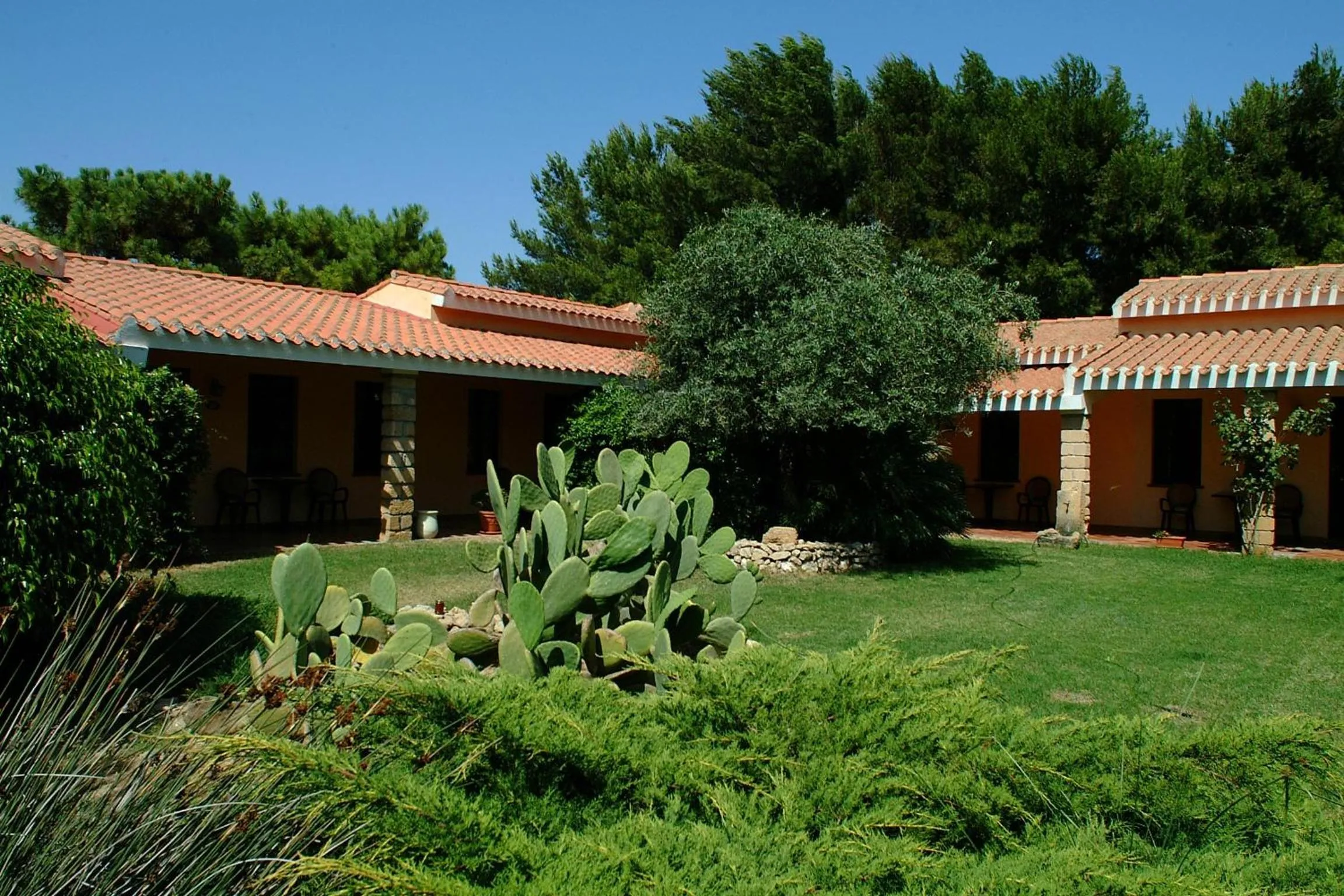 Garden view in Sa Pedrera Country Hotel