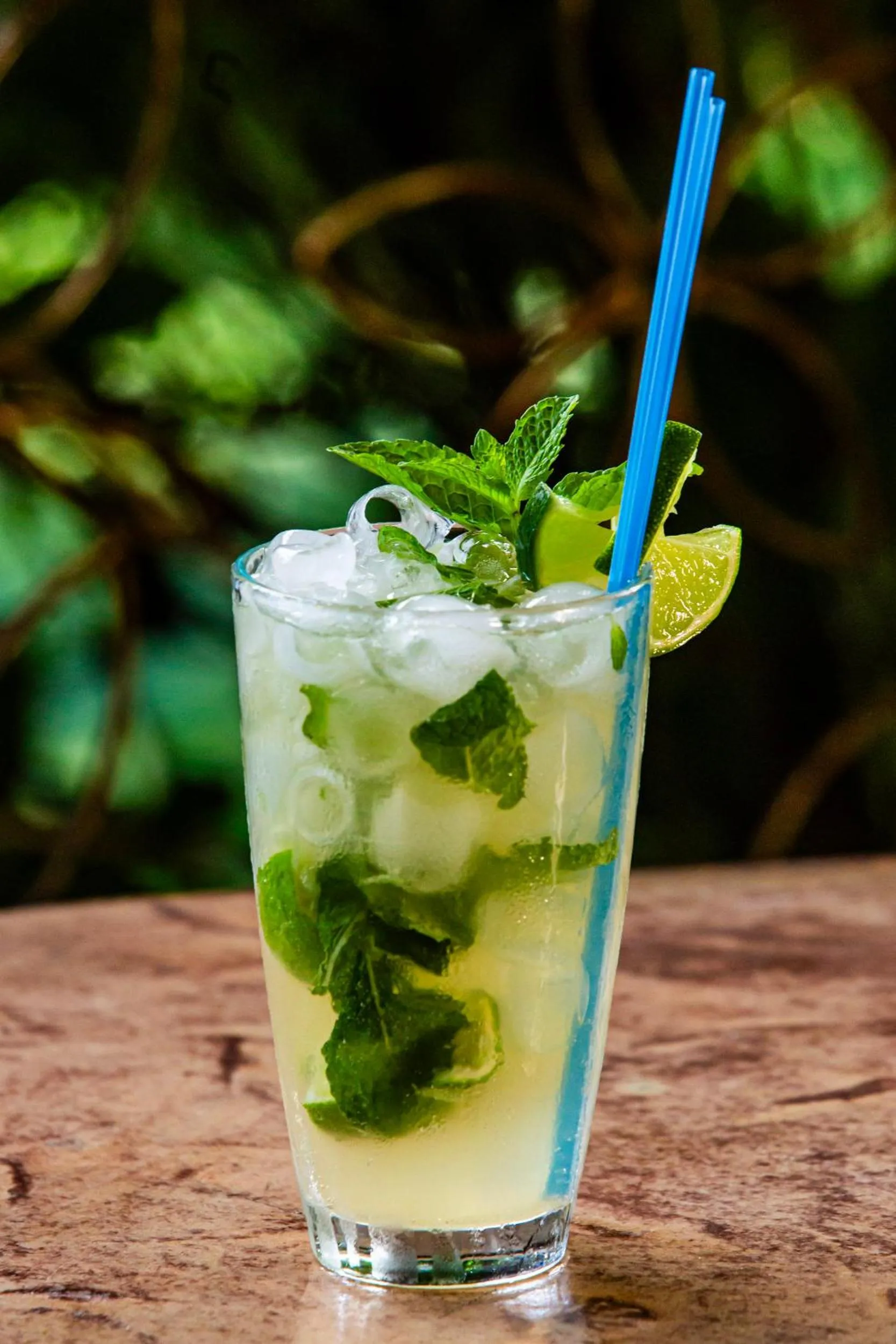 Lounge or bar in Pousada Canto No Bosque