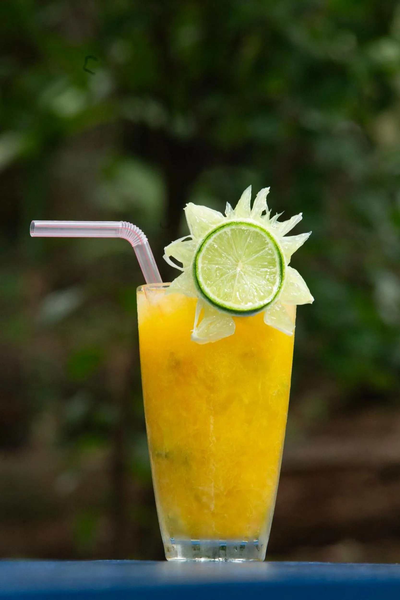 Lounge or bar in Pousada Canto No Bosque