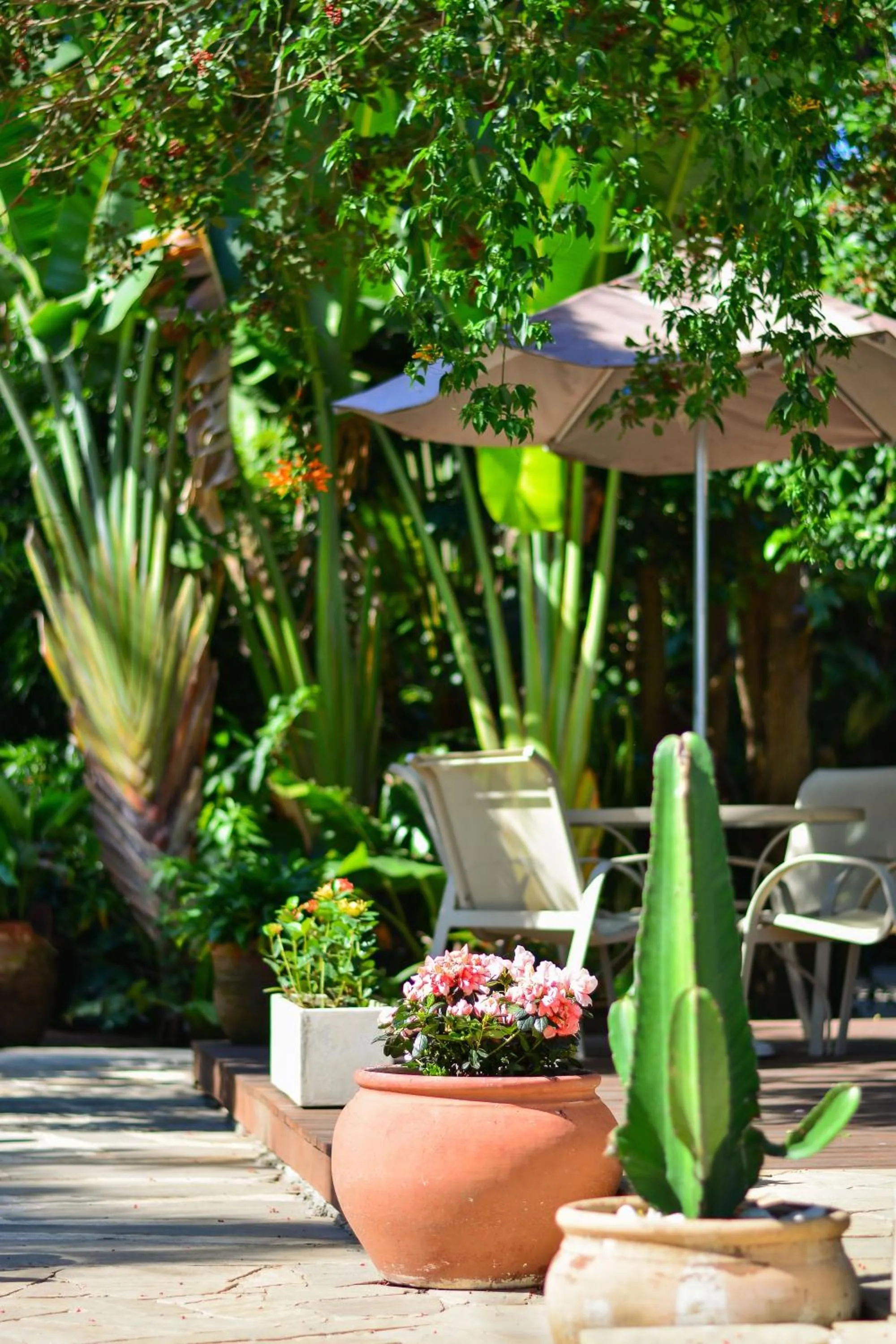 Garden view in Pousada do Namorado