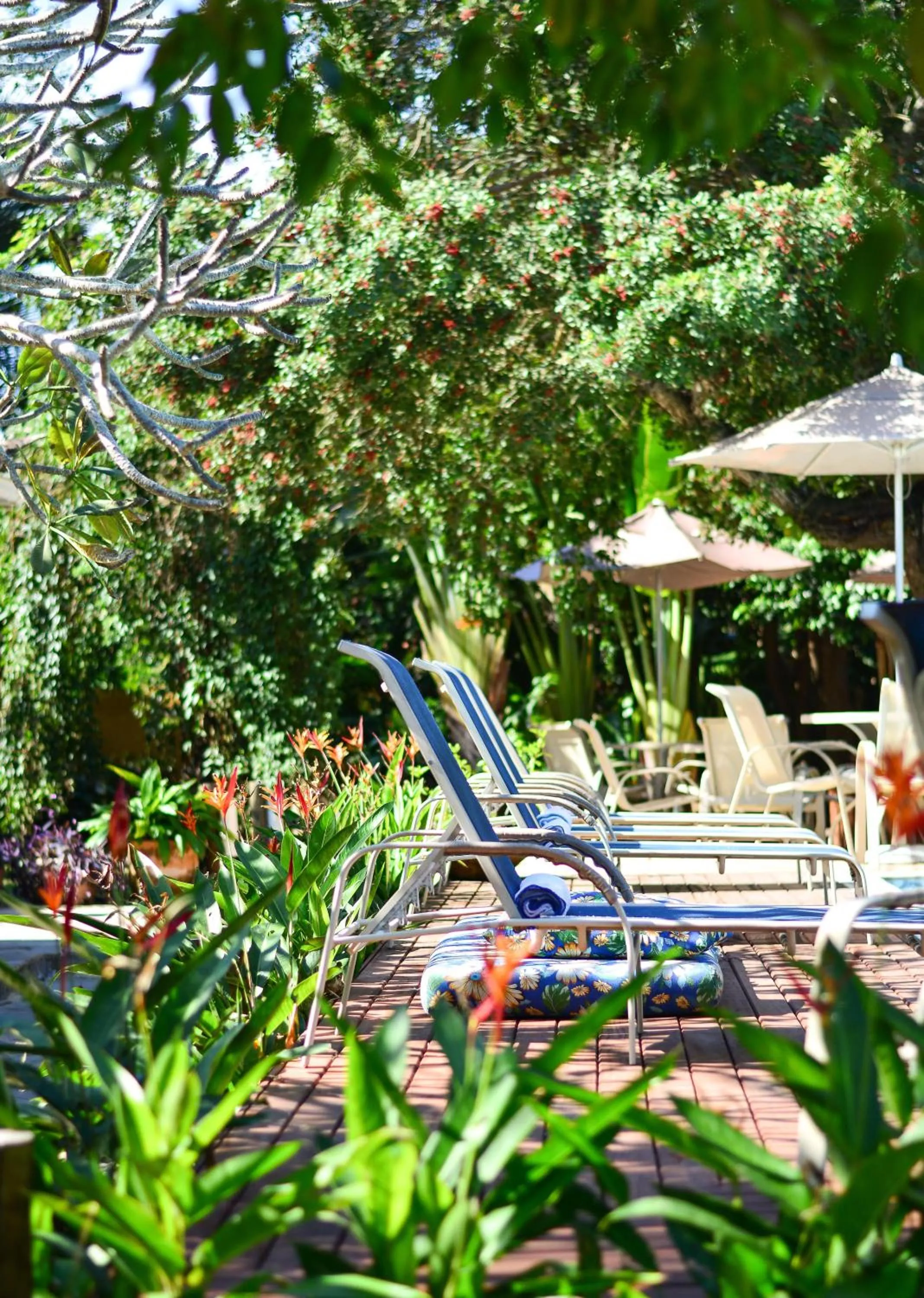 Balcony/Terrace in Pousada do Namorado