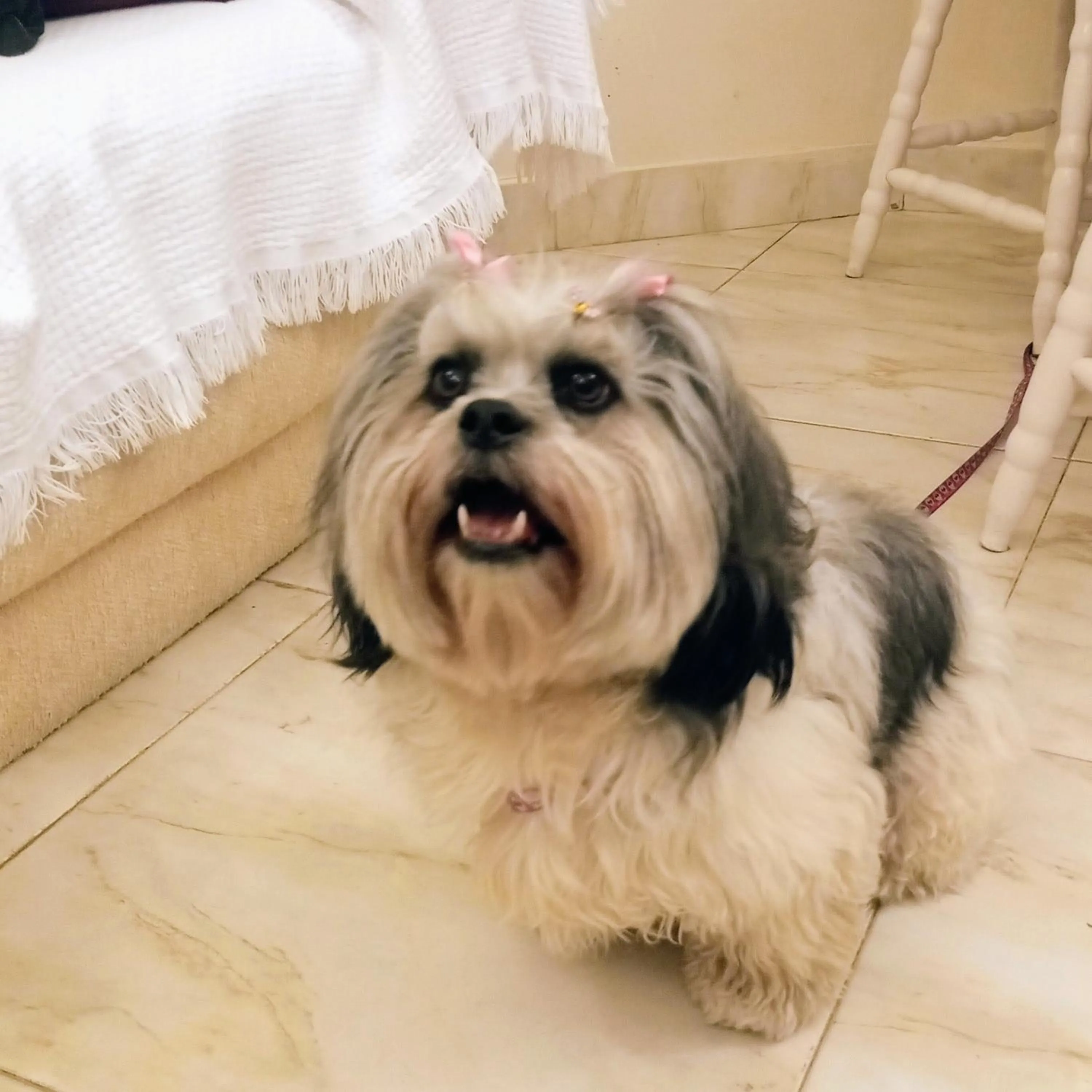 Pousada Confraria da Terra