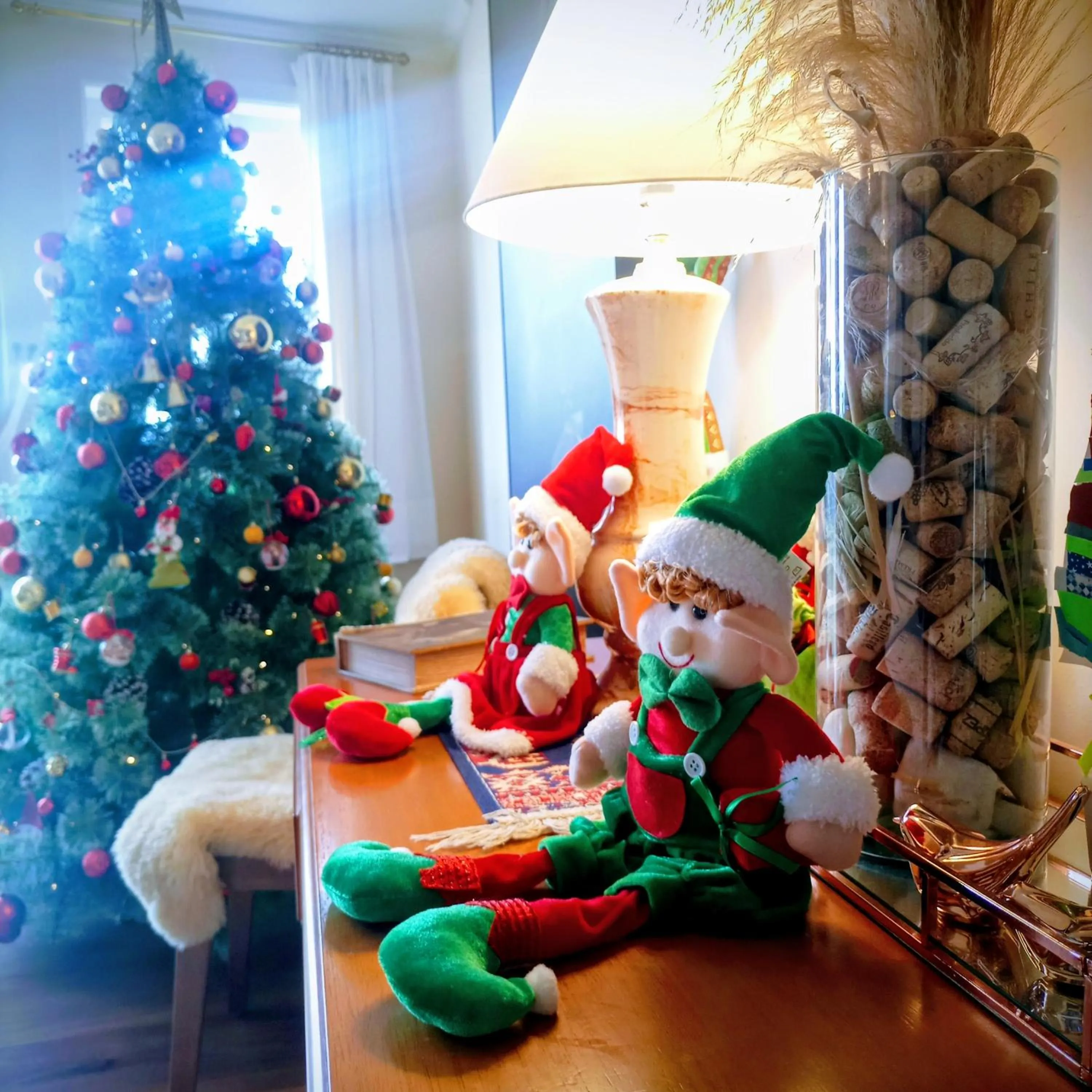 Pousada Confraria da Terra