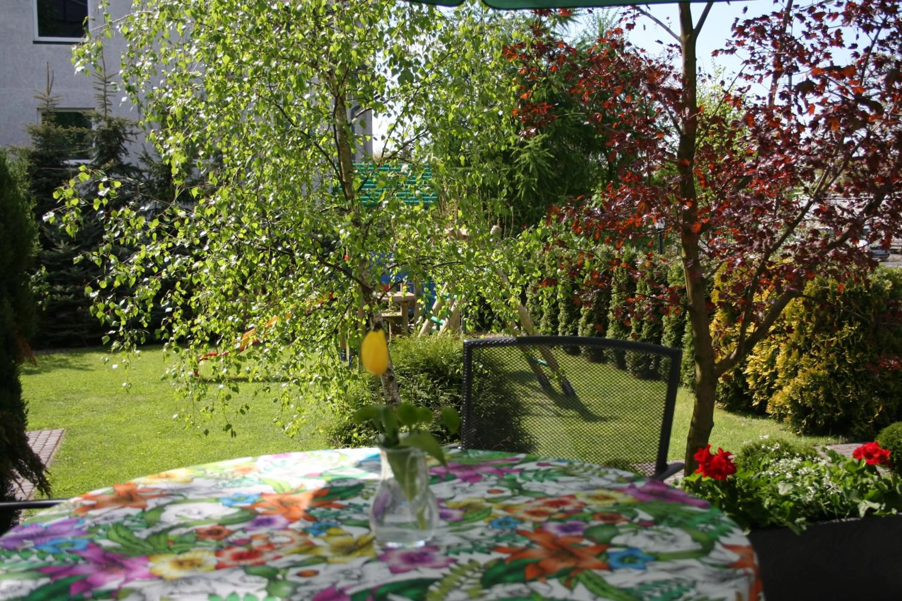 Garden in Hotel Focus