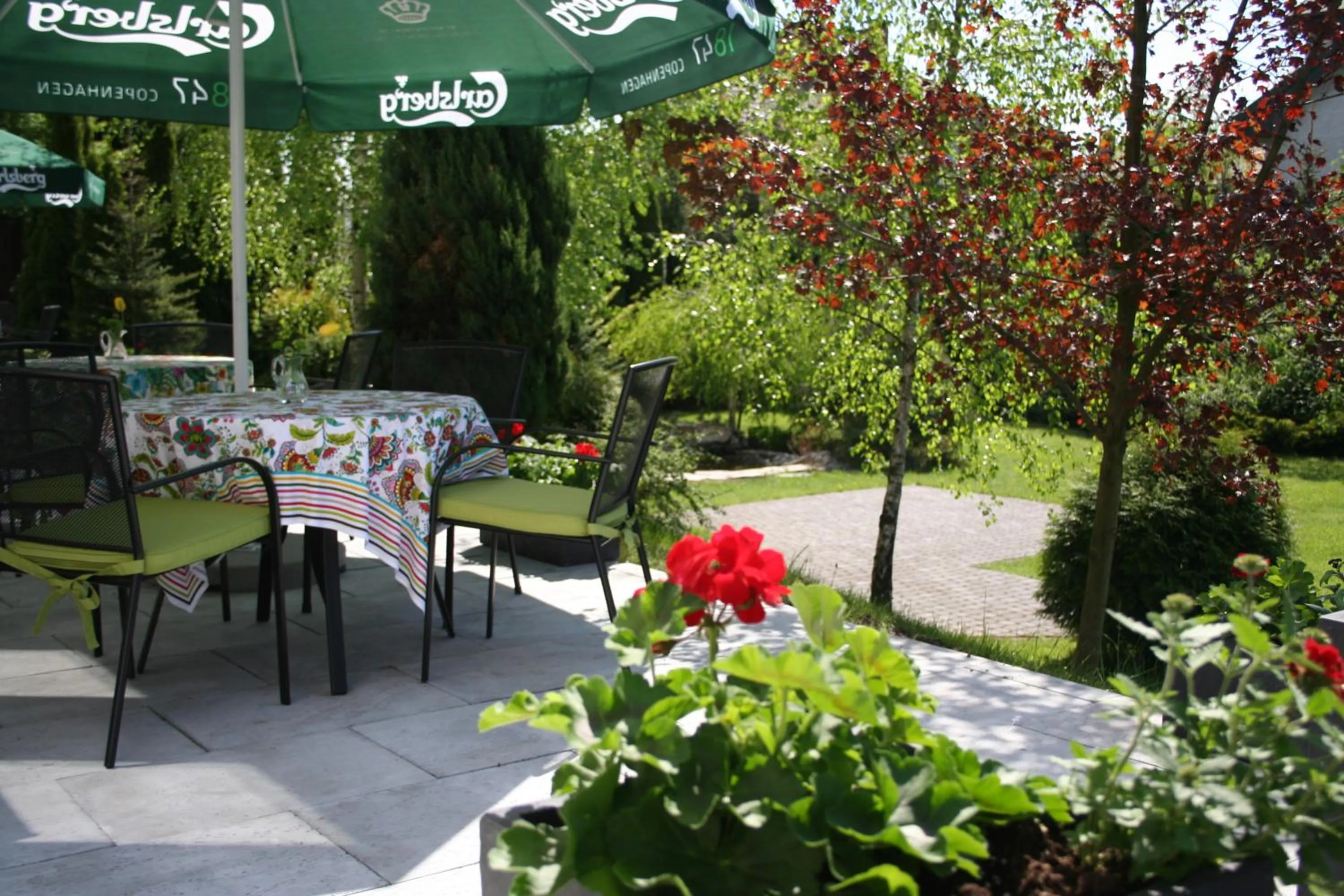 Garden in Hotel Focus