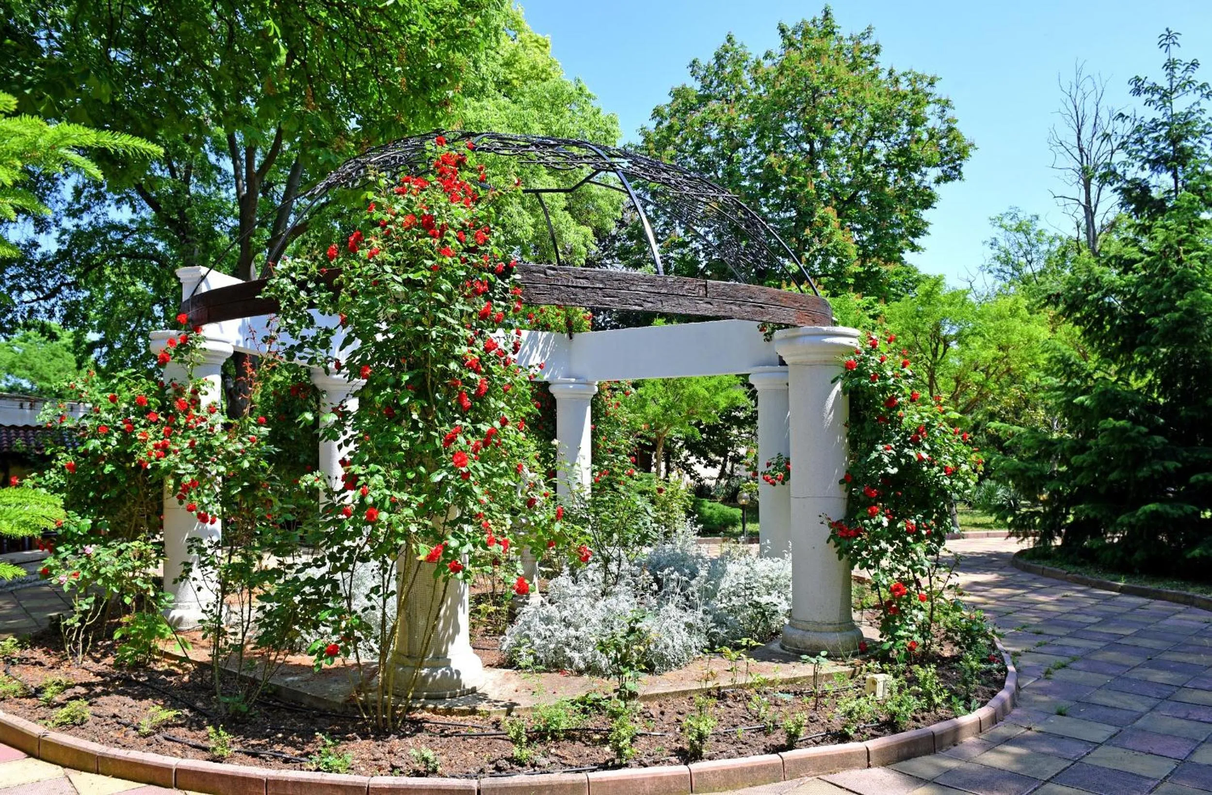 Garden in Hotel Estreya Palace